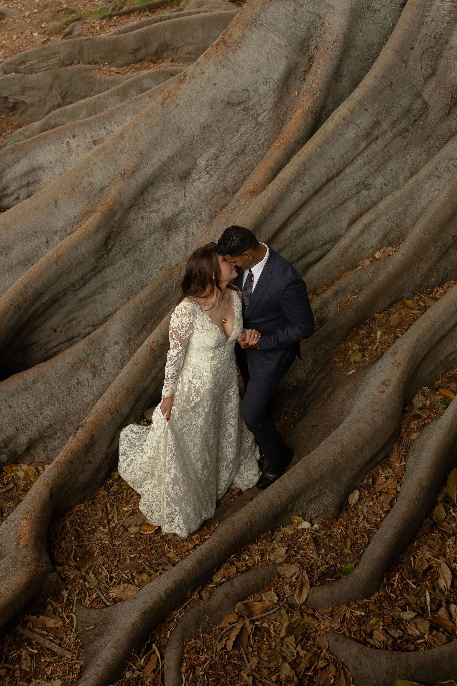 Bride and groom share a romantic kiss nestled among the sprawling roots of a massive tree.