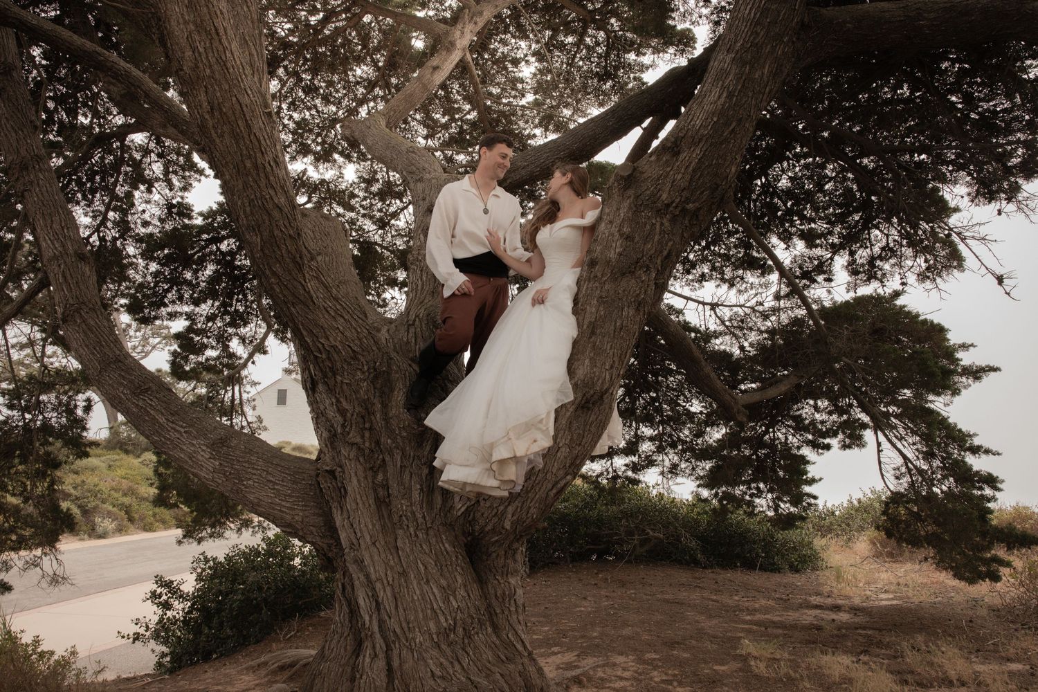 Bride and groom sitting together in the branches of a large scenic tree outdoors.