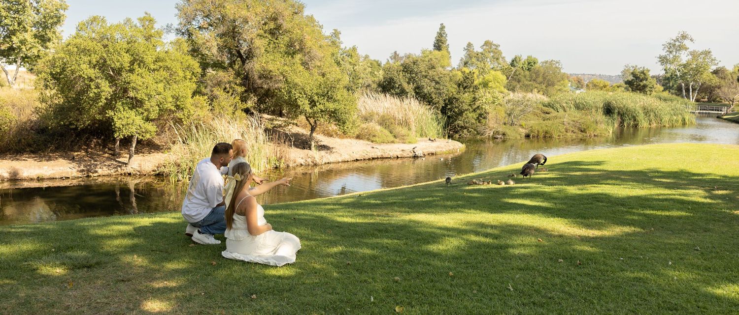 Bride and groom share a romantic moment by a serene river surrounded by lush green trees on their wedding day.