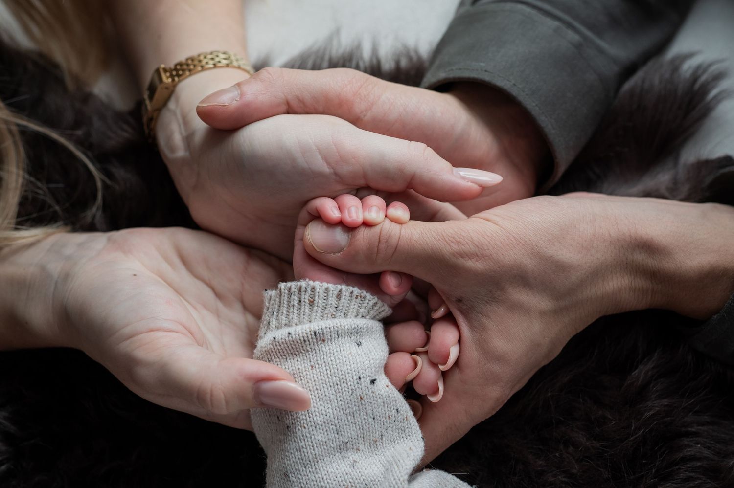 Two adult hands gently cradling a newborn baby's tiny feet, symbolizing family love and new parenthood. Lelystad, Almere, Dronten, Flevoland