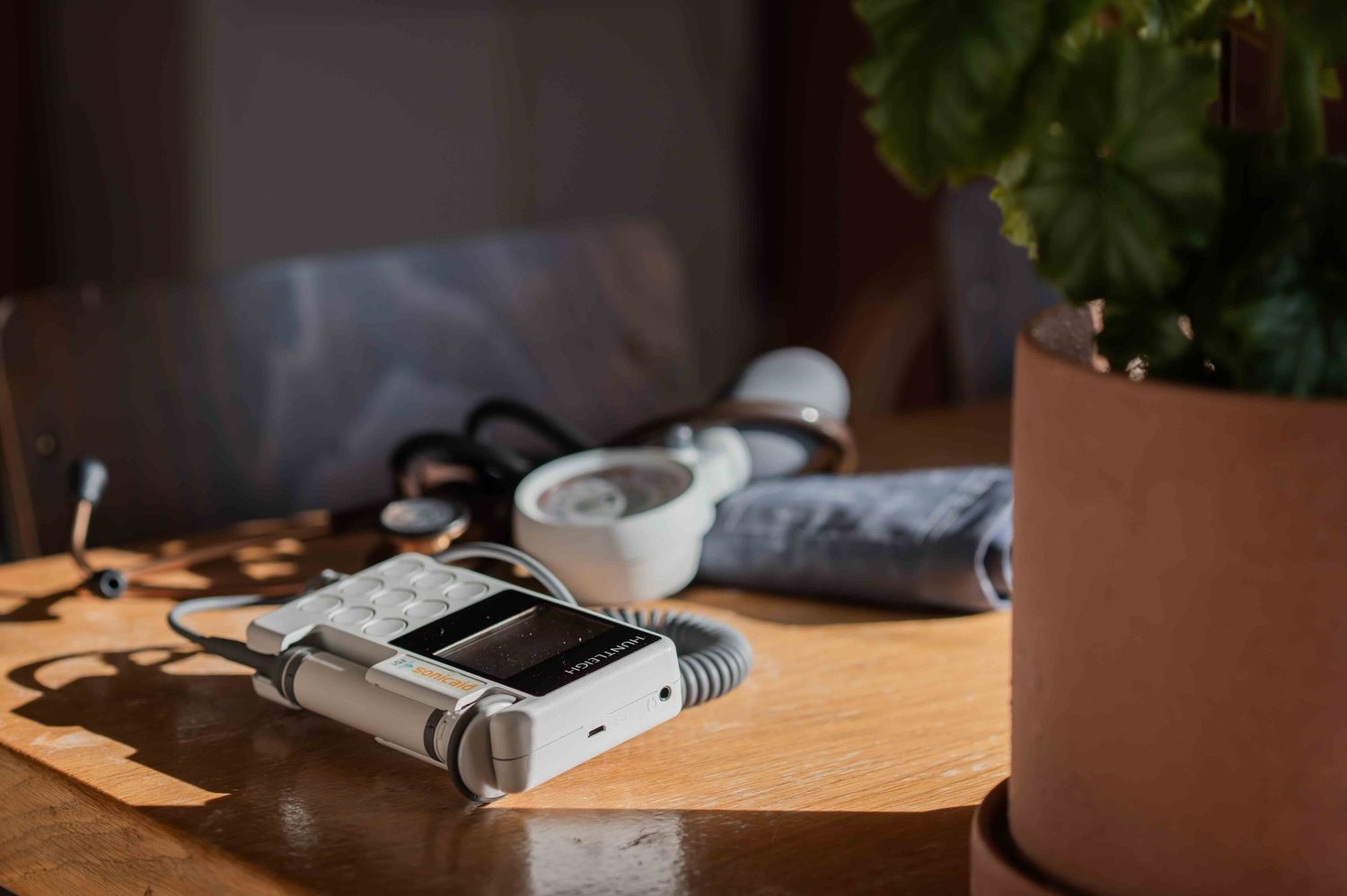 A vintage white cordless phone rests on a wooden table beside a green potted plant in warm sunlight.