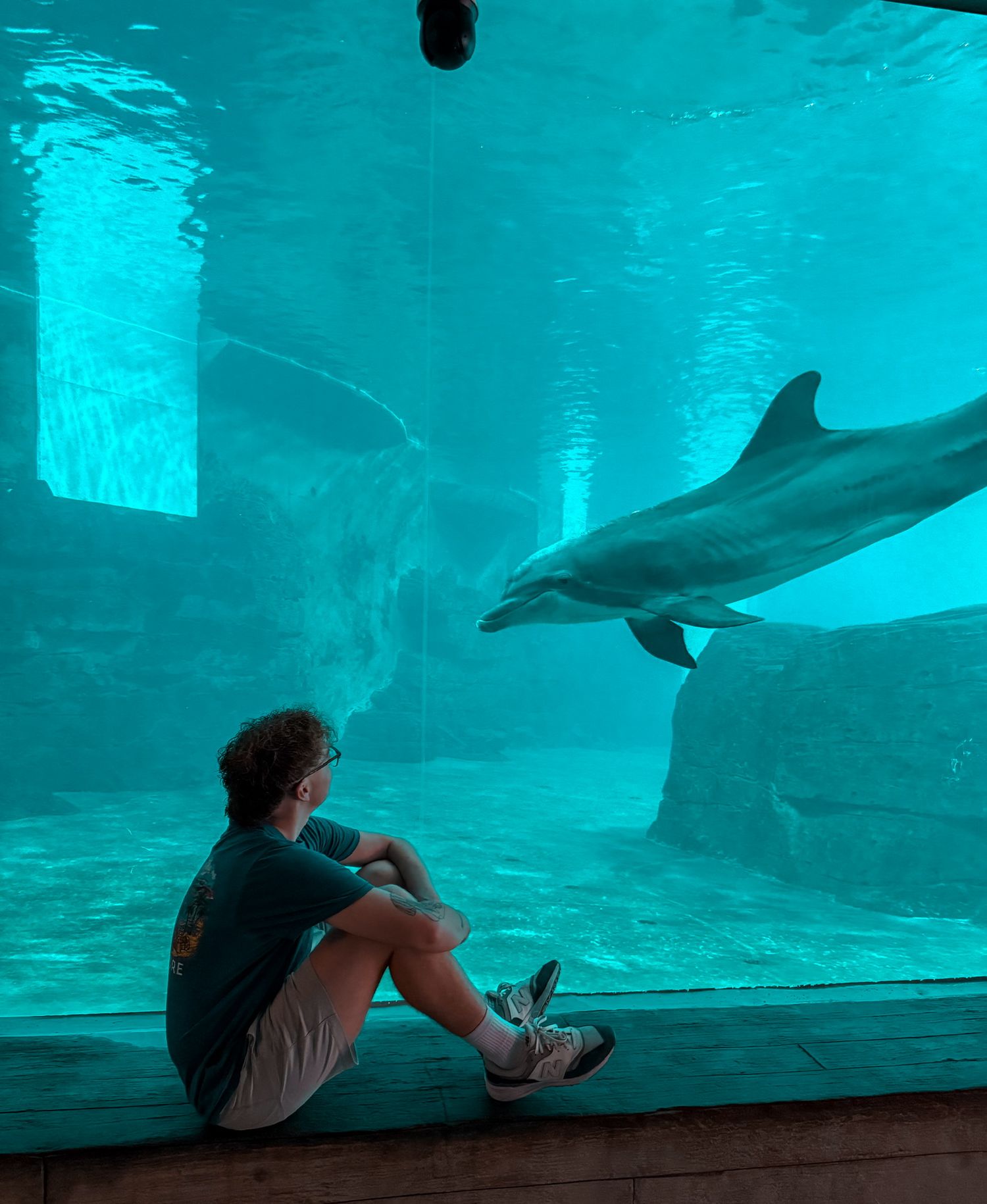 People sit and watch dolphins swimming in an aquarium tank with bright turquoise blue water.