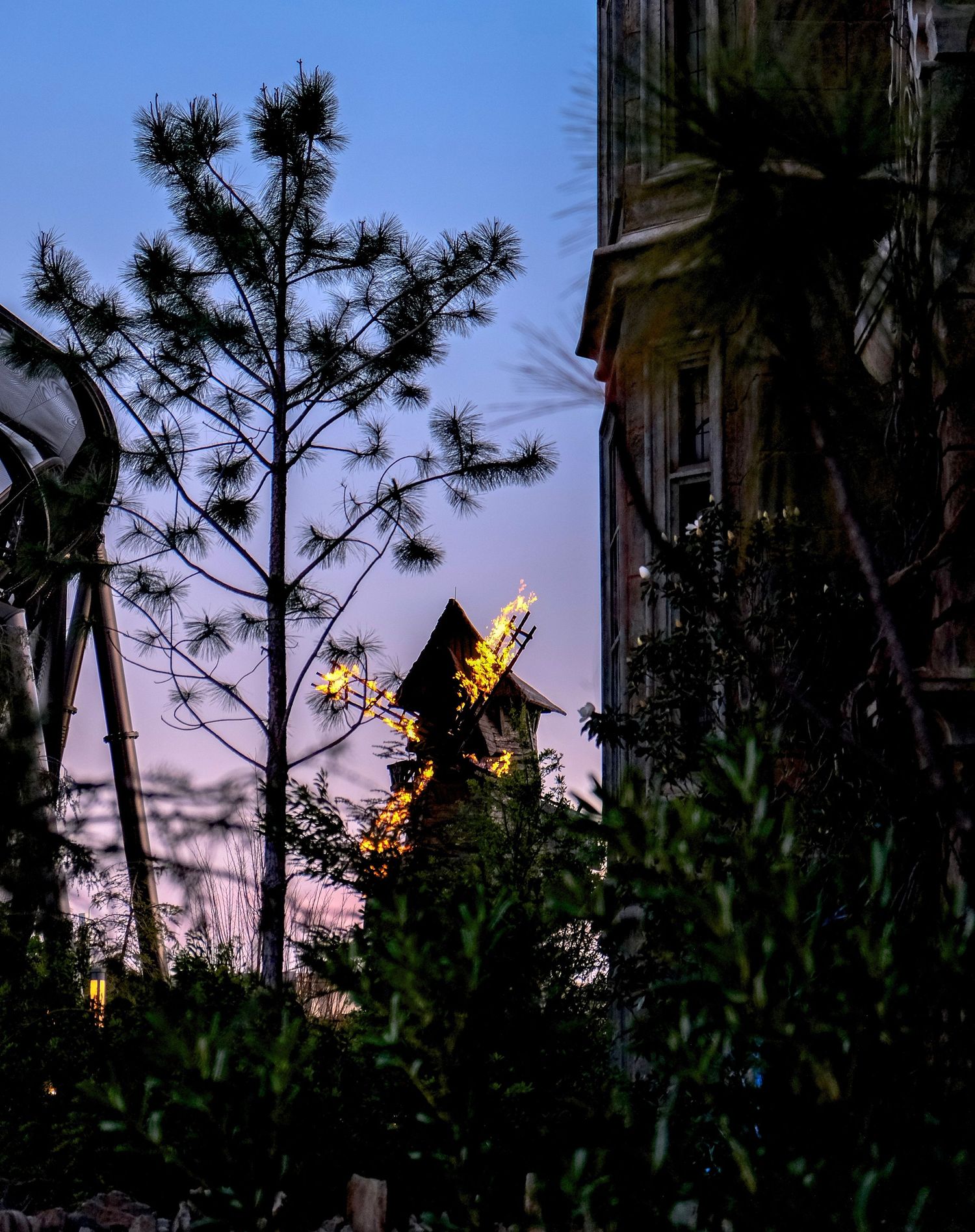 Twilight garden scene with silhouetted pine trees and glowing lights near a building at dusk.