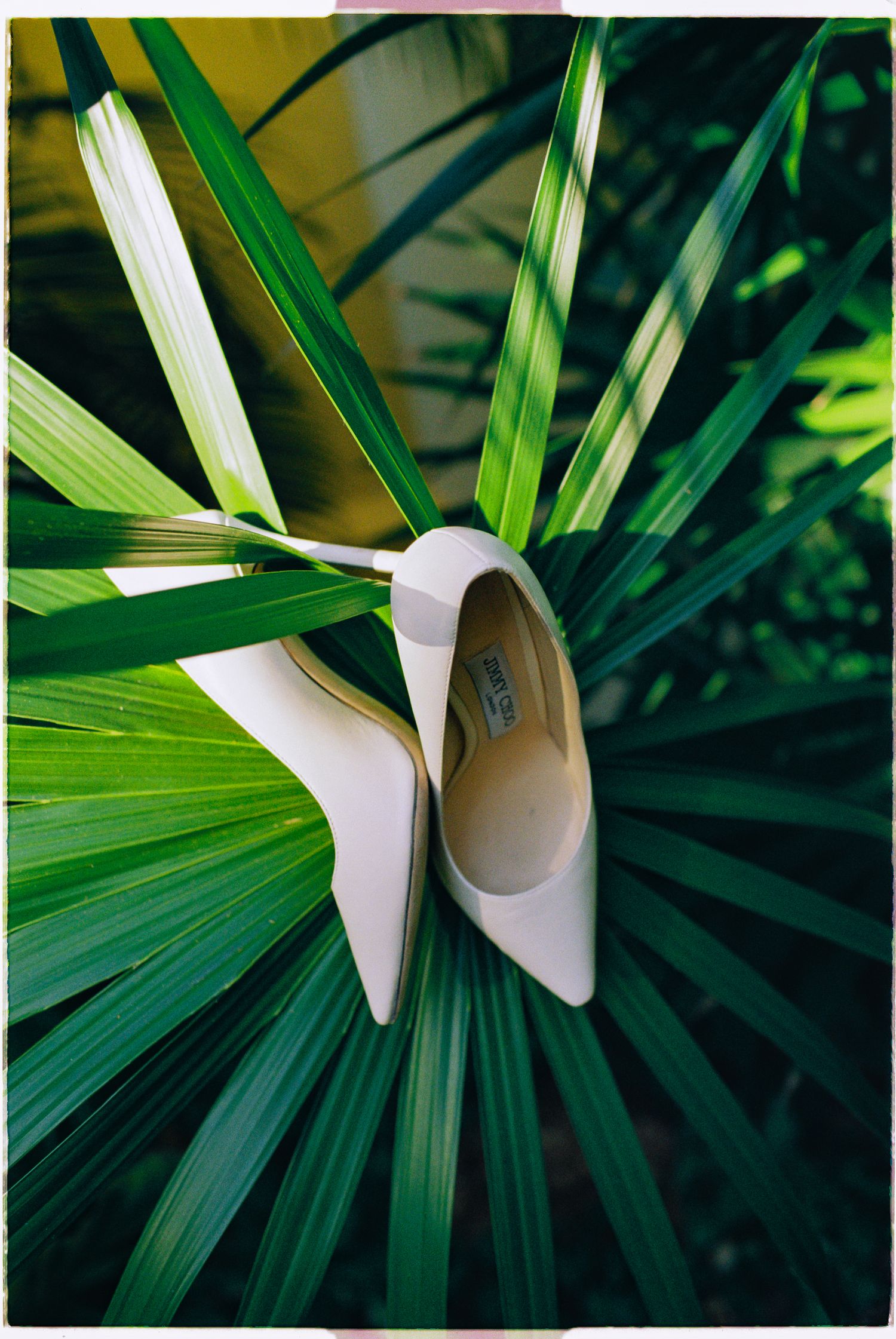 White stiletto heels resting on tropical palm leaves, perfect bridal shoes for a destination wedding.