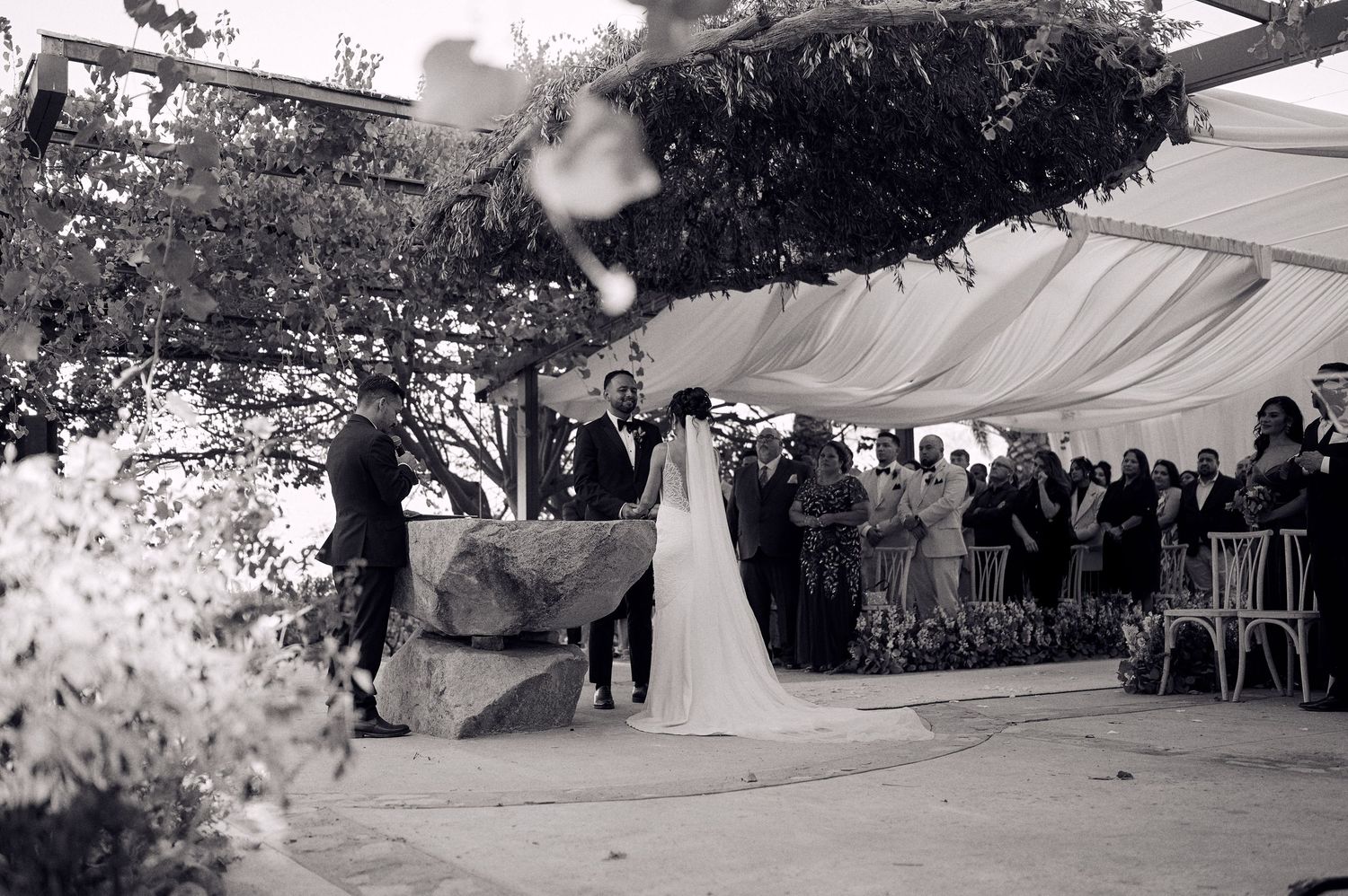 Black and white panoramic view of an outdoor wedding ceremony under trees.