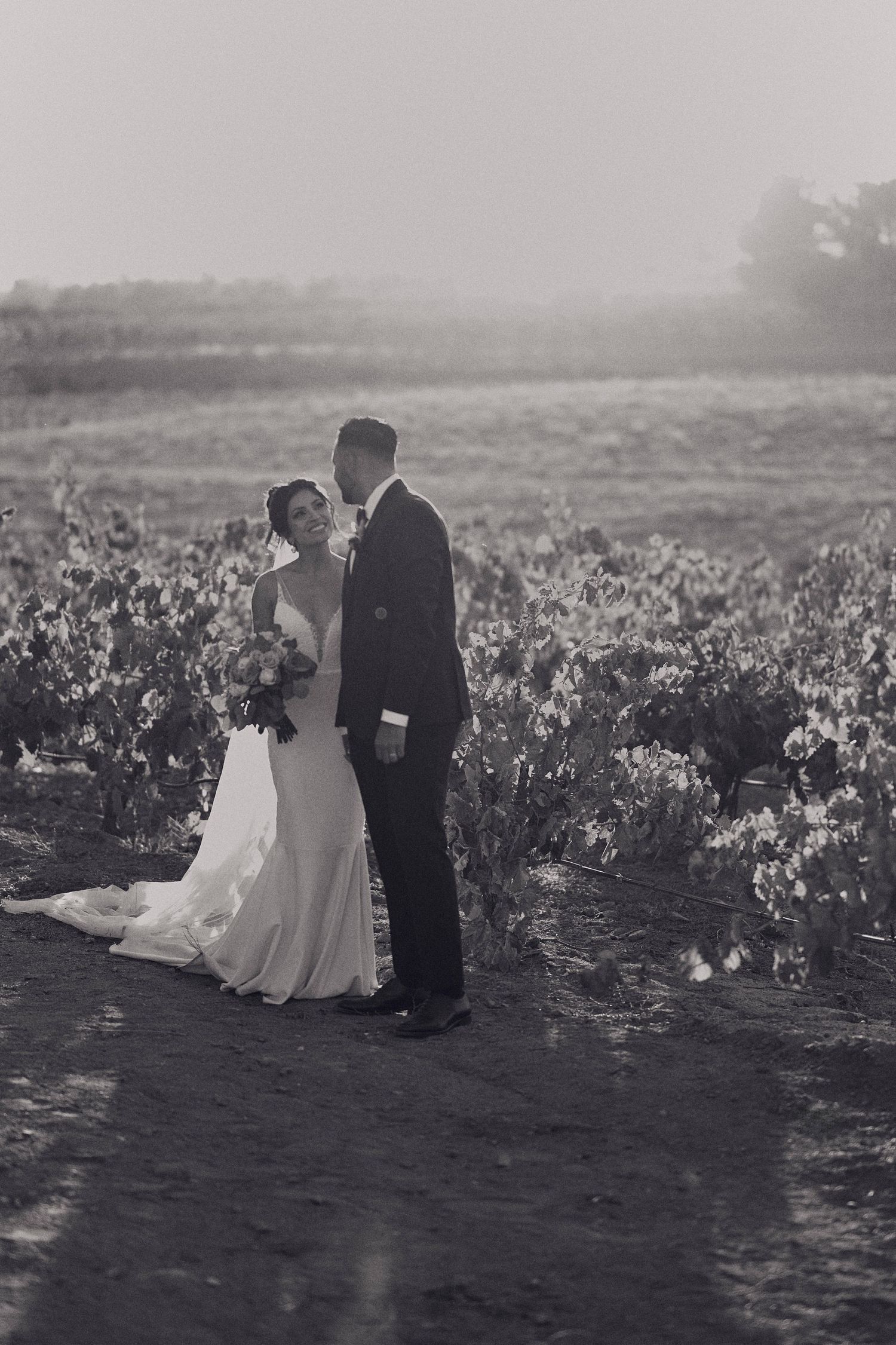 Black and white wedding portrait of couple posing in vineyard setting.