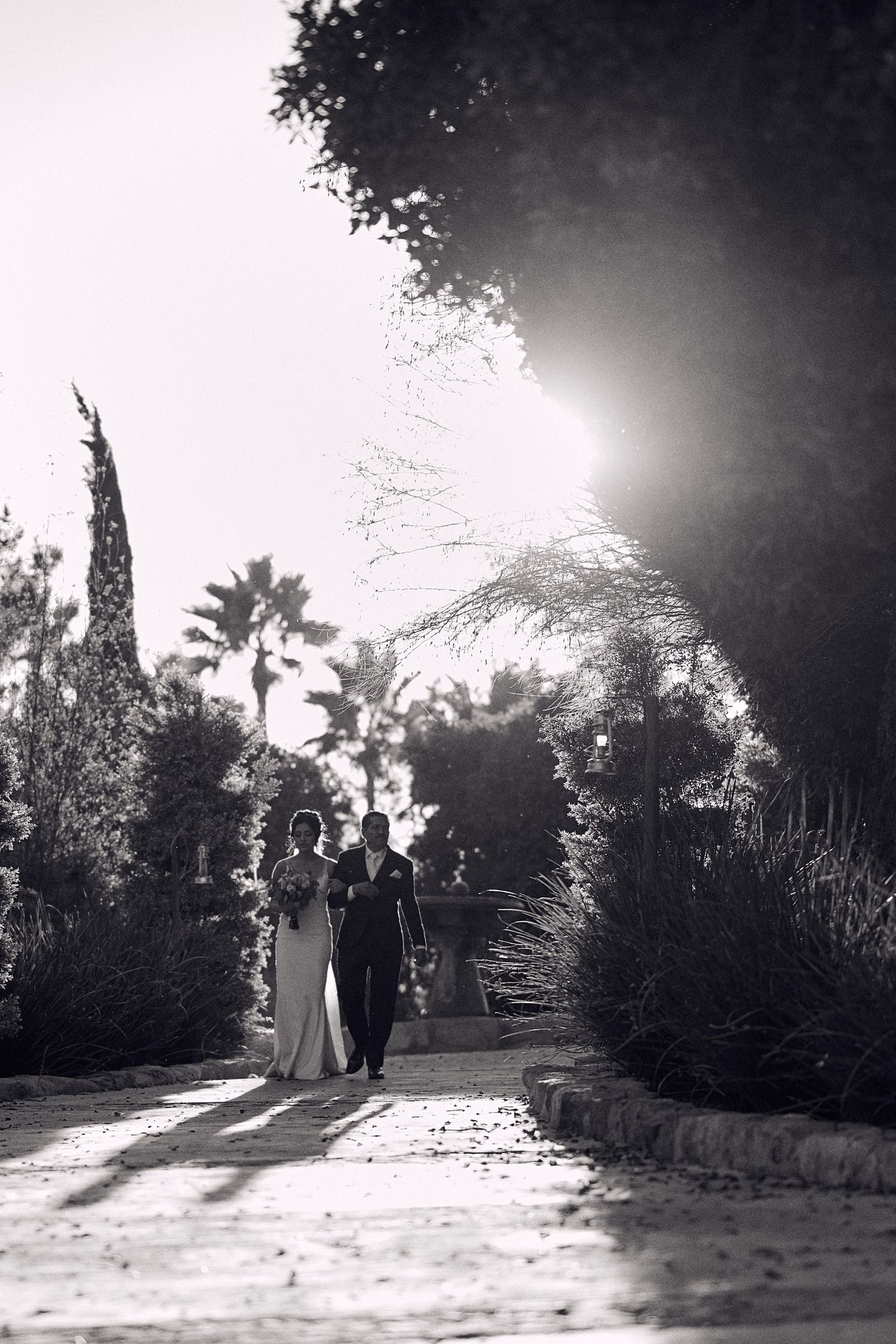 Black and white wedding photos with couple silhouetted against bright sunlight and palm trees.