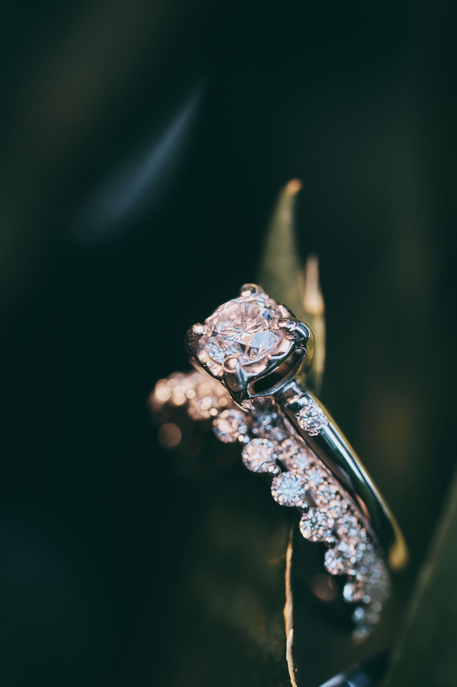 Close-up detail shot of a sparkling diamond engagement ring with intricate design.