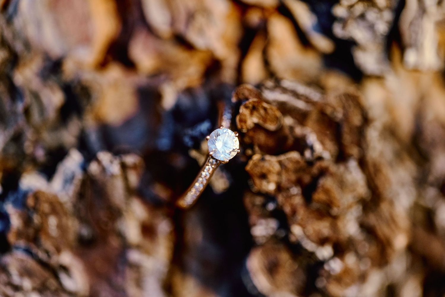 Close-up macro photography of crystalline formations with golden brown tones.