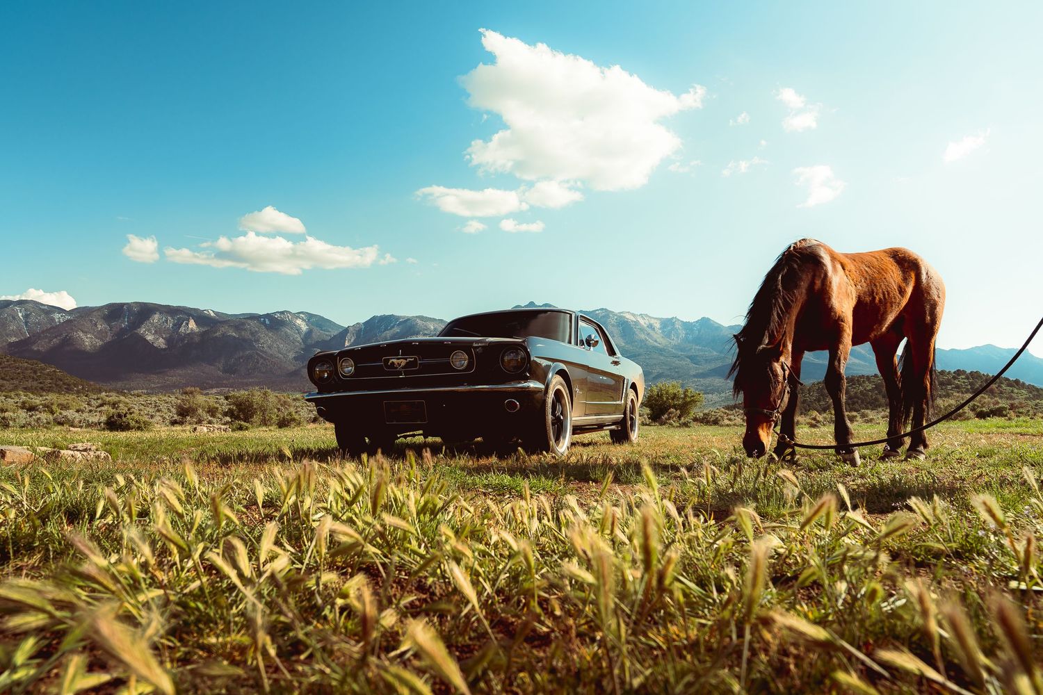 A classic Ford Mustang parked in a green field beside a grazing brown horse with mountains in the background.