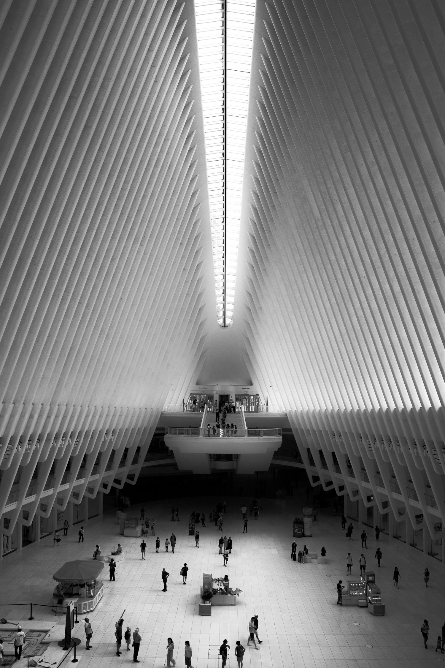 Black and white interior view of the Oculus World Trade Center transit hub with soaring white ribs.