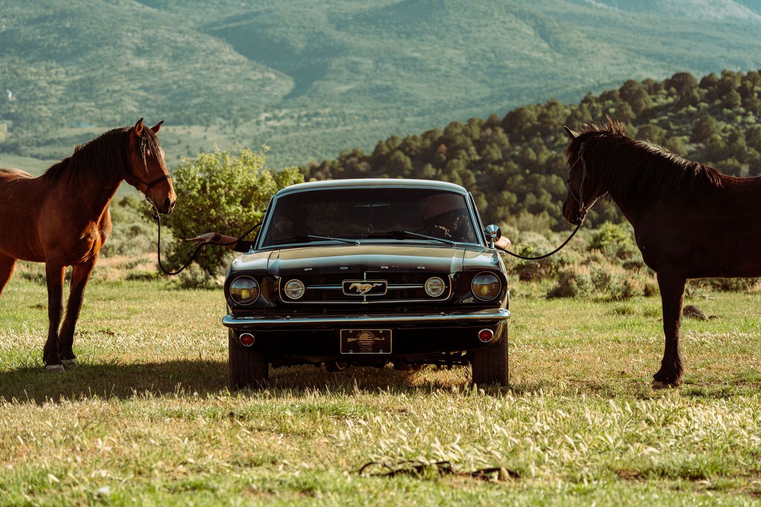 Two brown horses flank a vintage black Ford Mustang parked in a green mountain meadow.