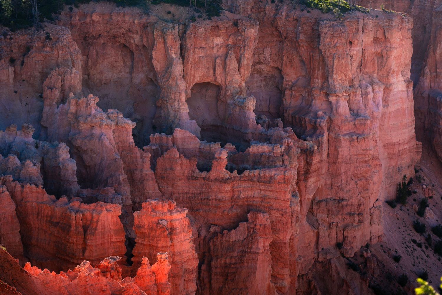 Dramatic red and orange hoodoo rock formations bathed in warm sunset light at Bryce Canyon National Park.