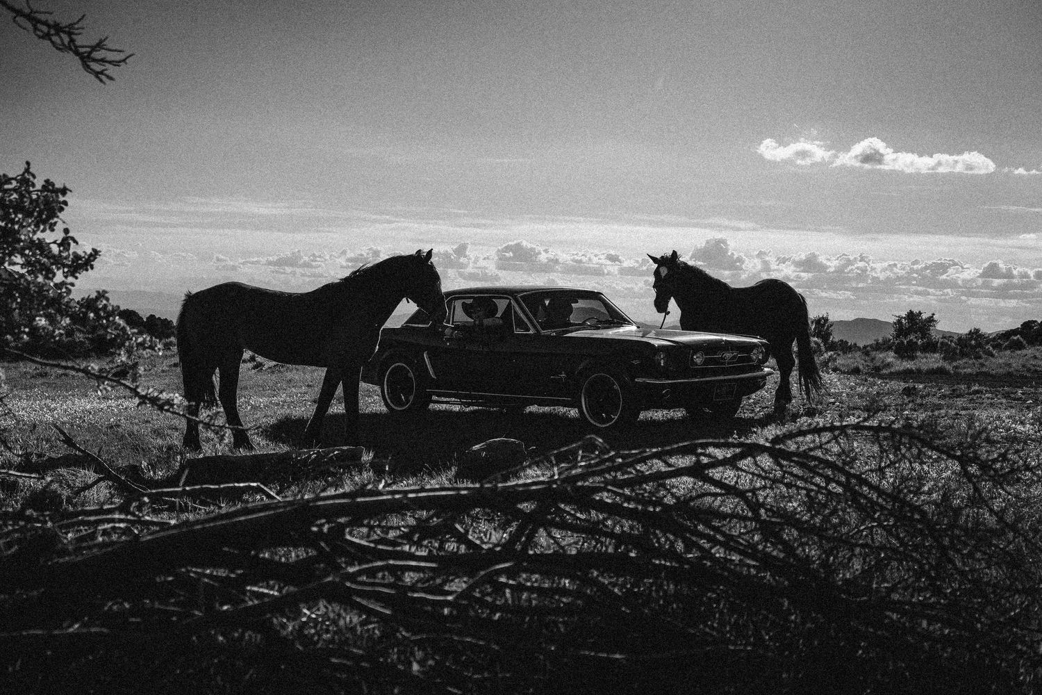 Black and white photo of two horses standing beside a classic muscle car in an open desert landscape.
