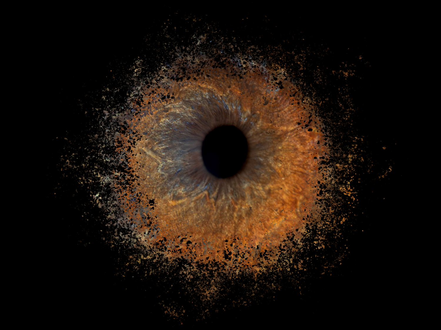 oeil portrait photo