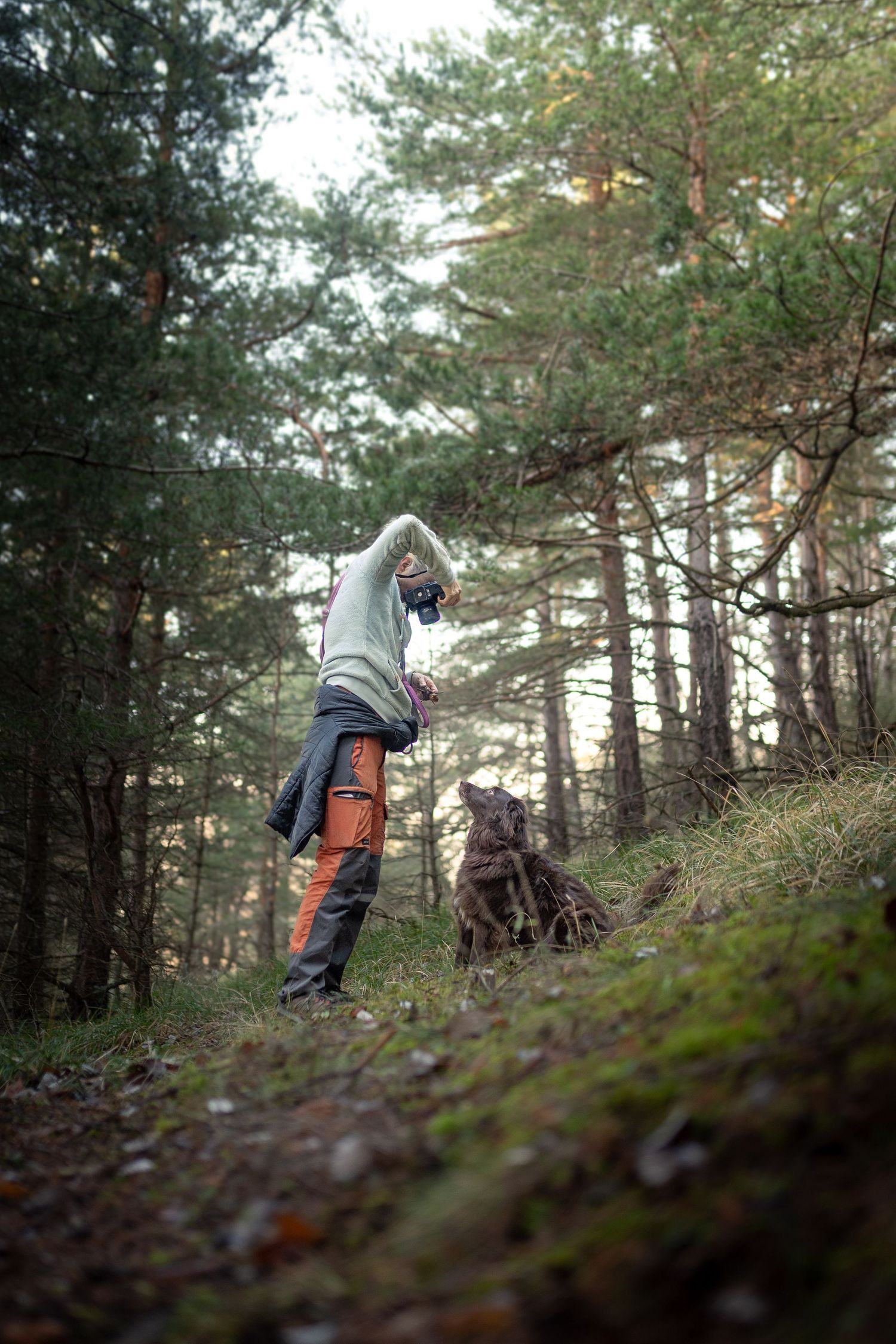 portrait photo animaux chien
photographe canin
photographe animalier 
alpes maritimes
nice 
cote d'azur 
paca
cannes
vence