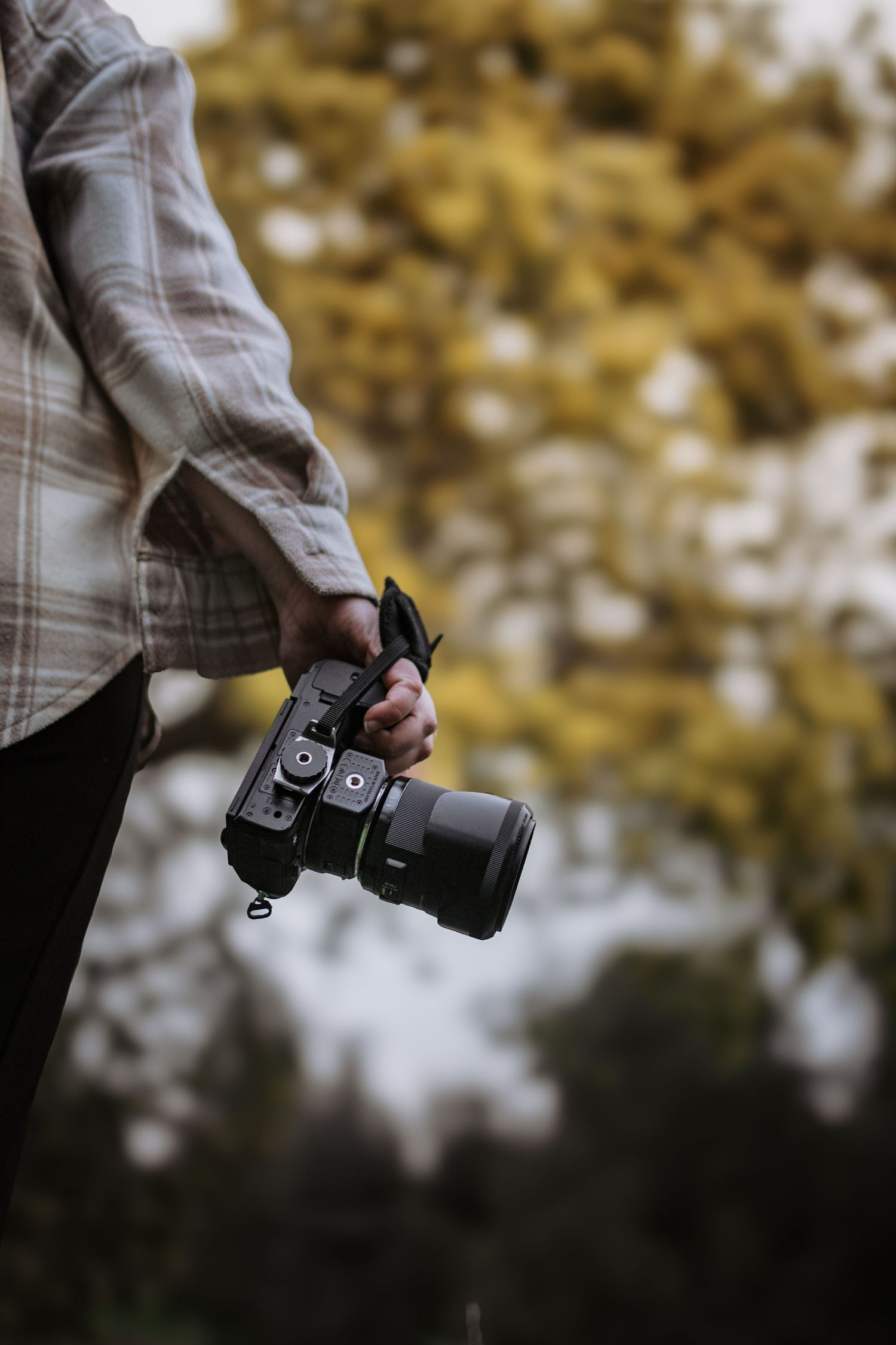 formation photographie