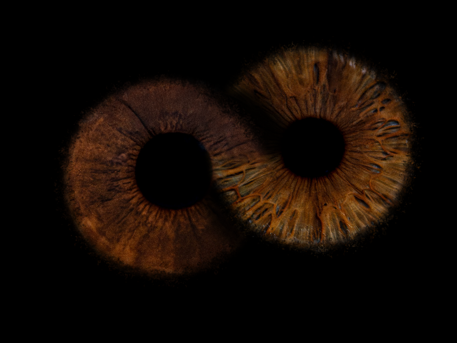 iris photographie couple nice cannes alpes maritimes 06