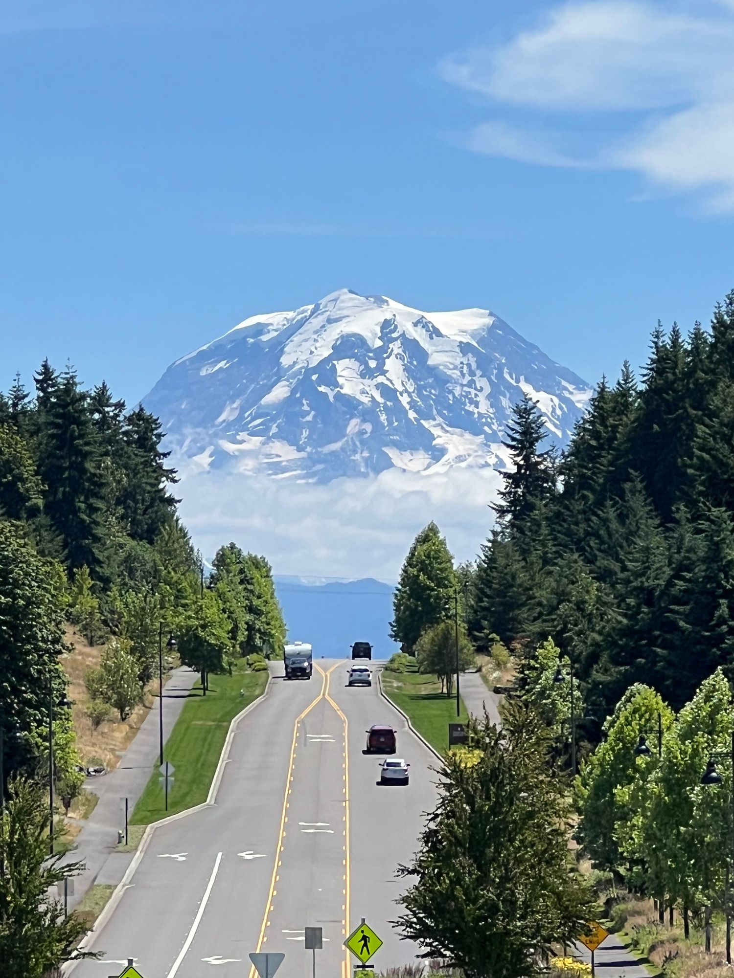 Winding mountain road leading to snow-capped Mount Rainier with evergreen trees lining the roadway under blue skies.