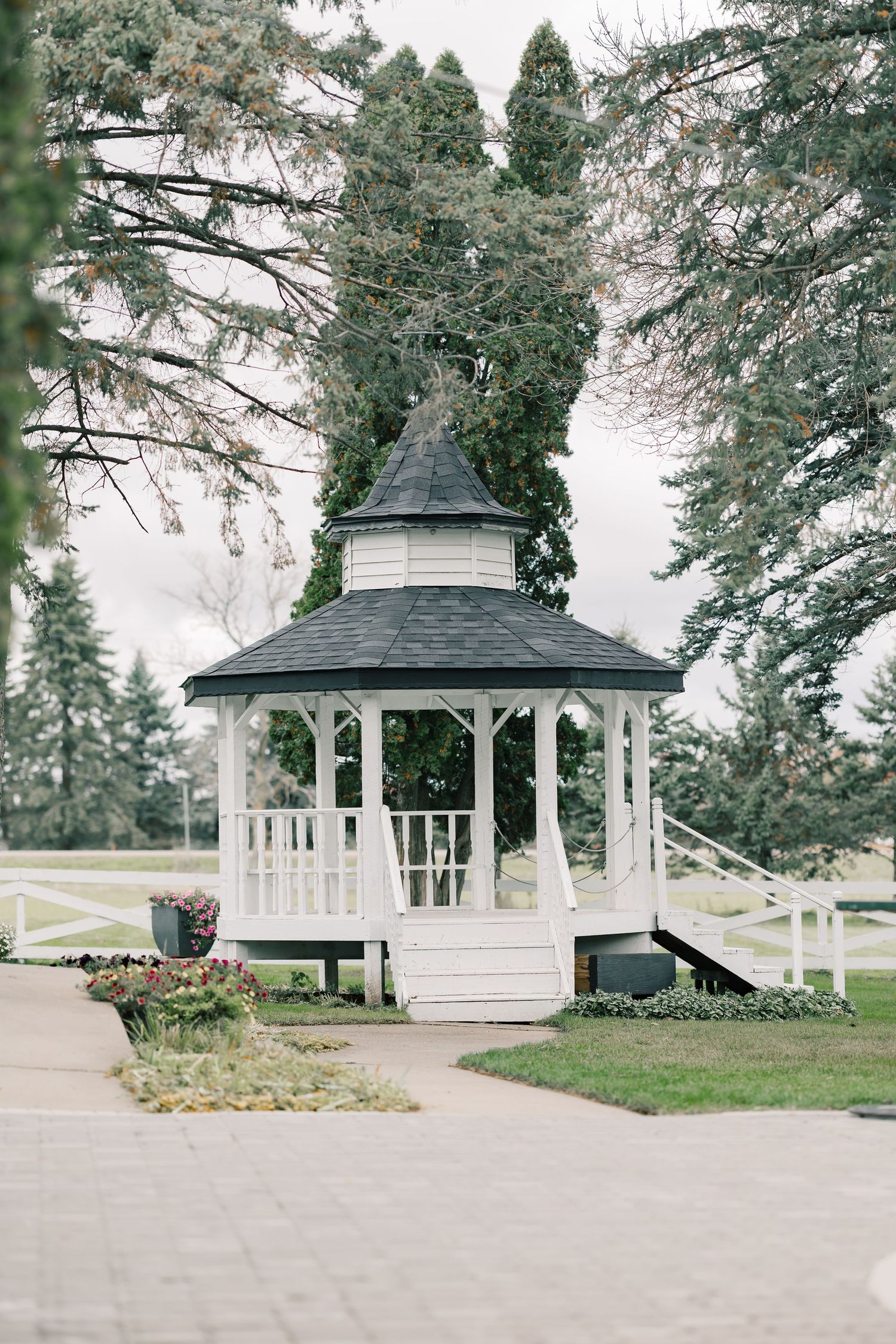 A white gazebo surrounded by tall pine trees in a serene outdoor garden setting.