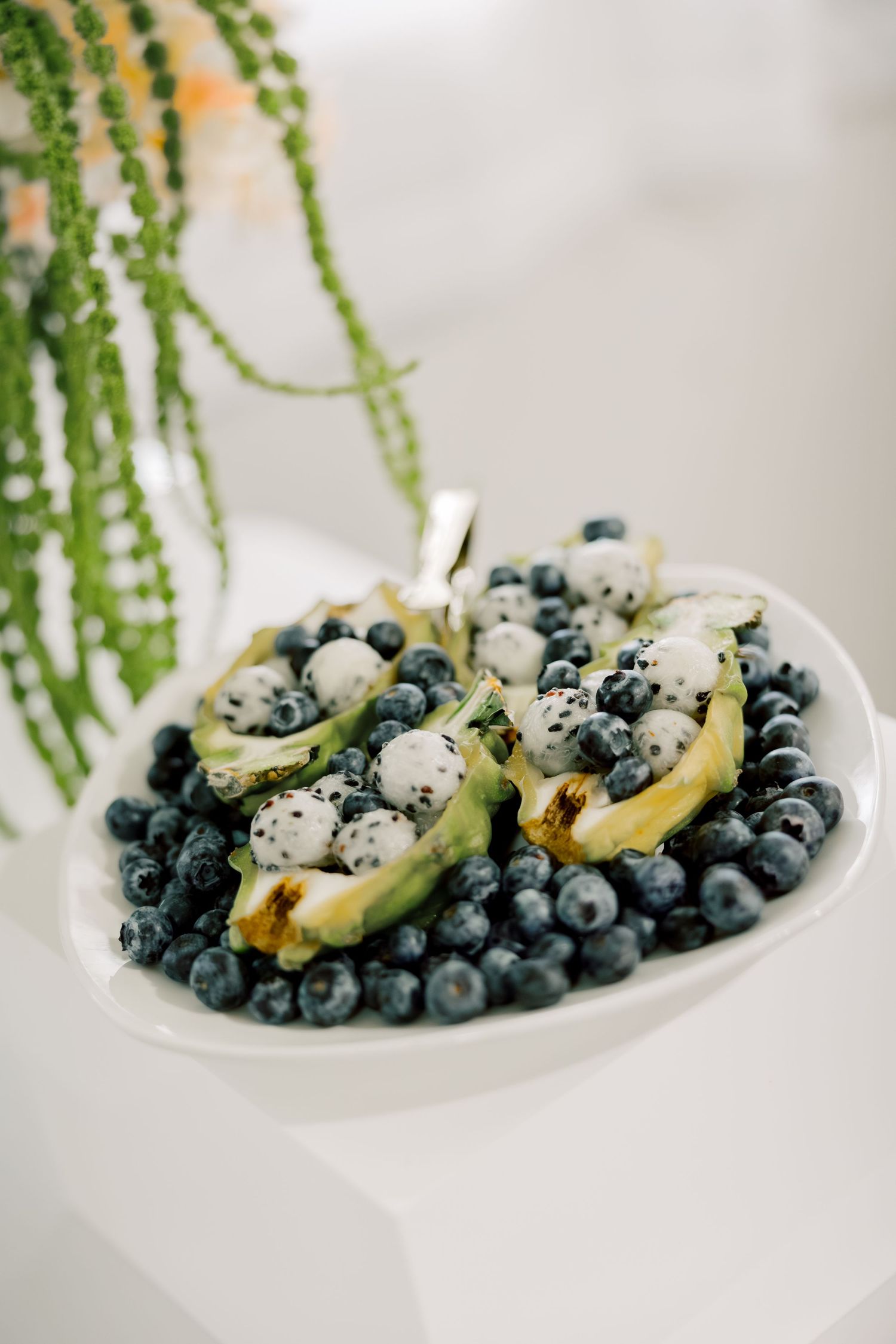 Fresh blueberries and stuffed endive appetizers arranged on a white plate with hanging greenery in background.
