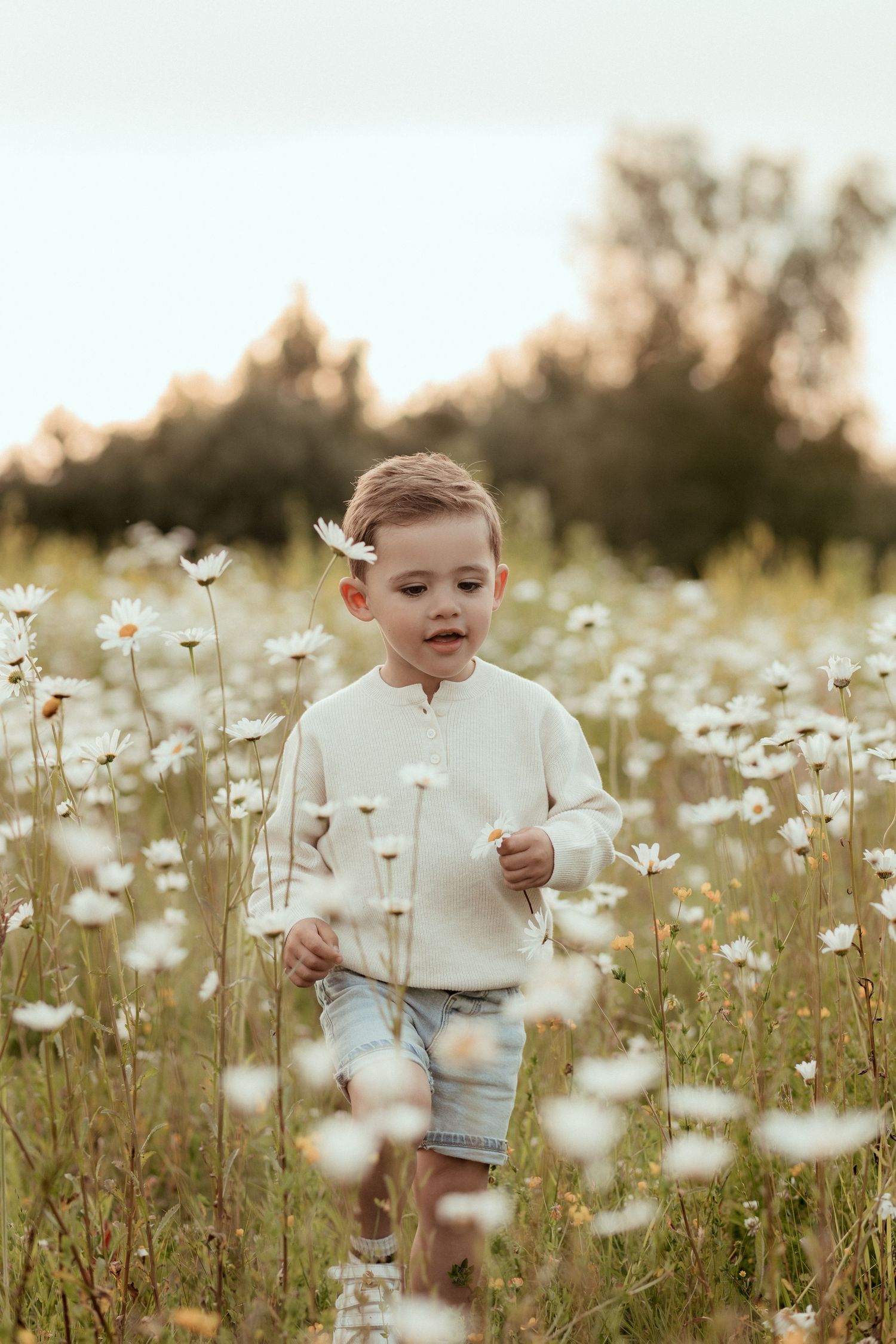 Peuter in een bloemenveld met witte bloemetjes - tijdens een minishoot in Eindhoven.