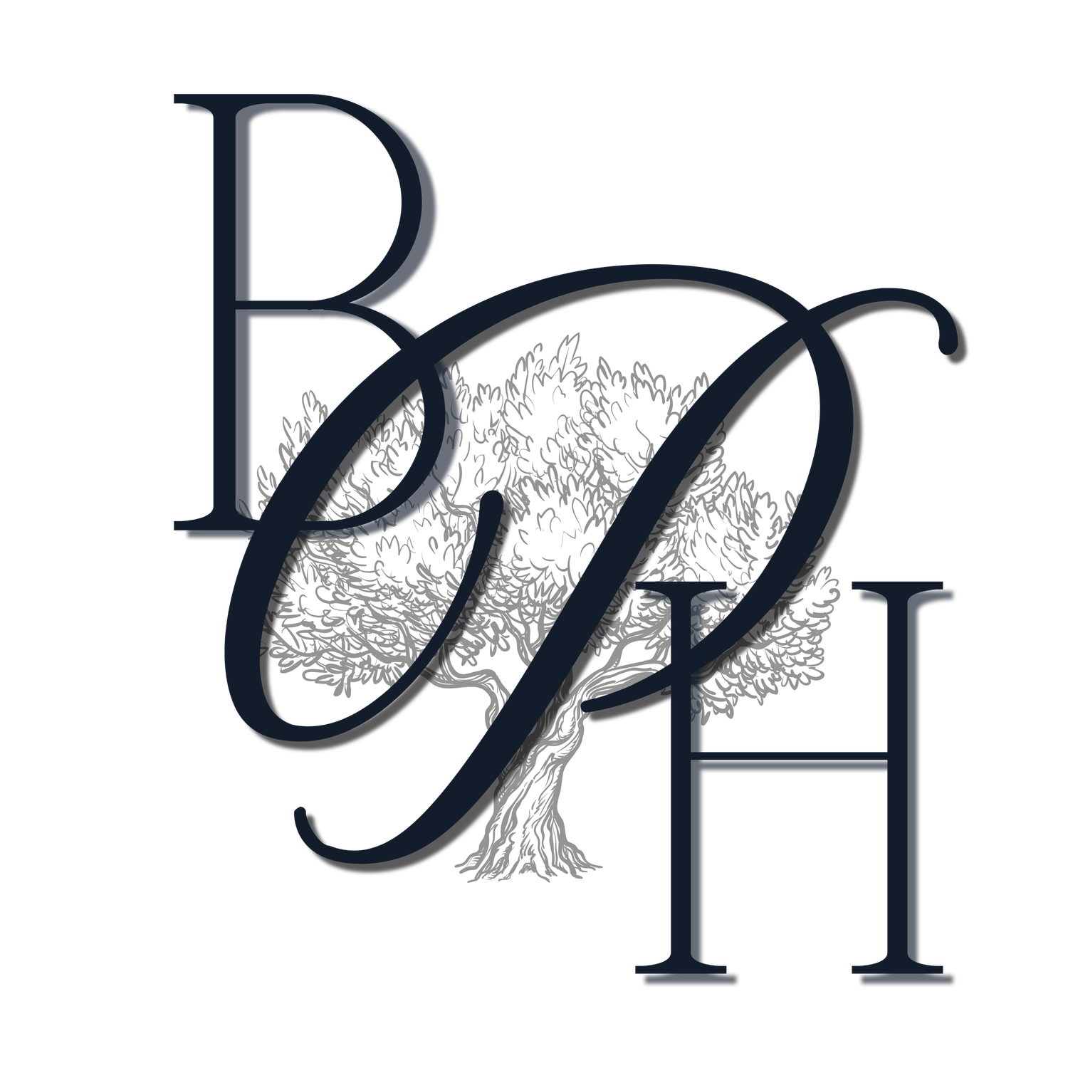 Brianna Hope Photos logo