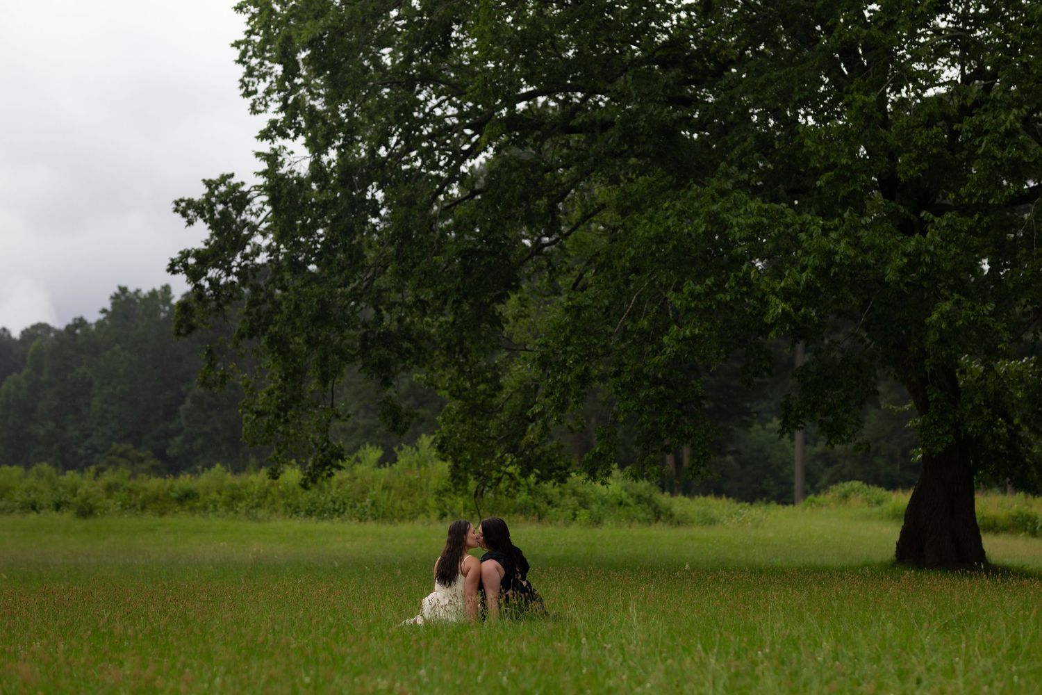 Two people sit together under a large oak tree in a serene green meadow on an overcast day.