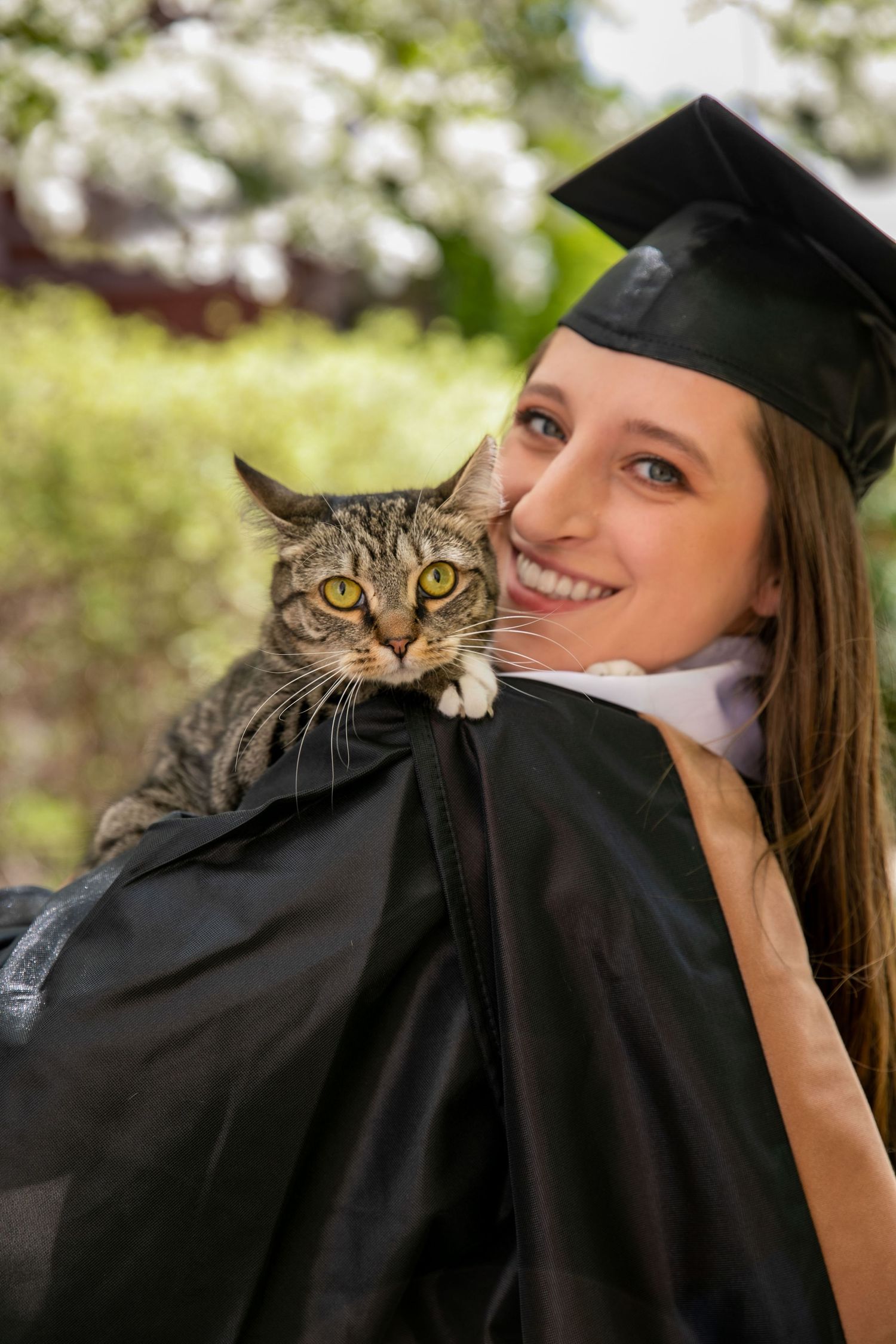 A graduate in cap and gown poses with a grumpy-looking striped cat during outdoor graduation photos.
