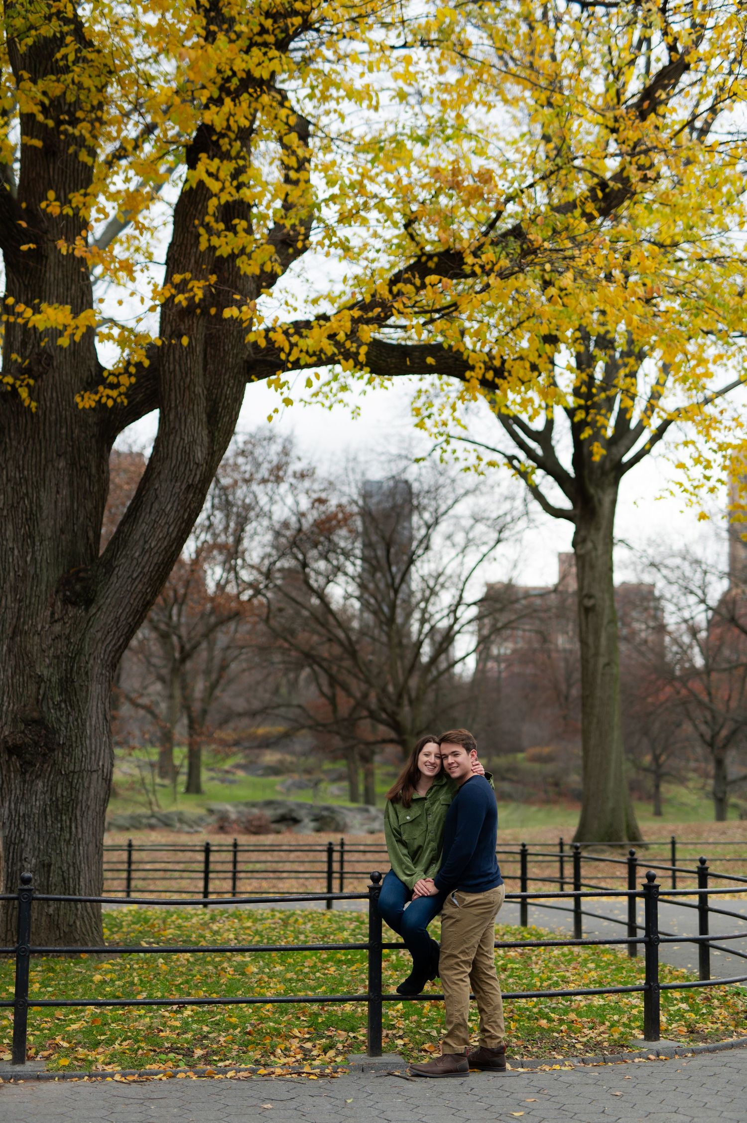 A romantic autumn proposal scene under golden yellow trees with a rustic wooden fence in the background.