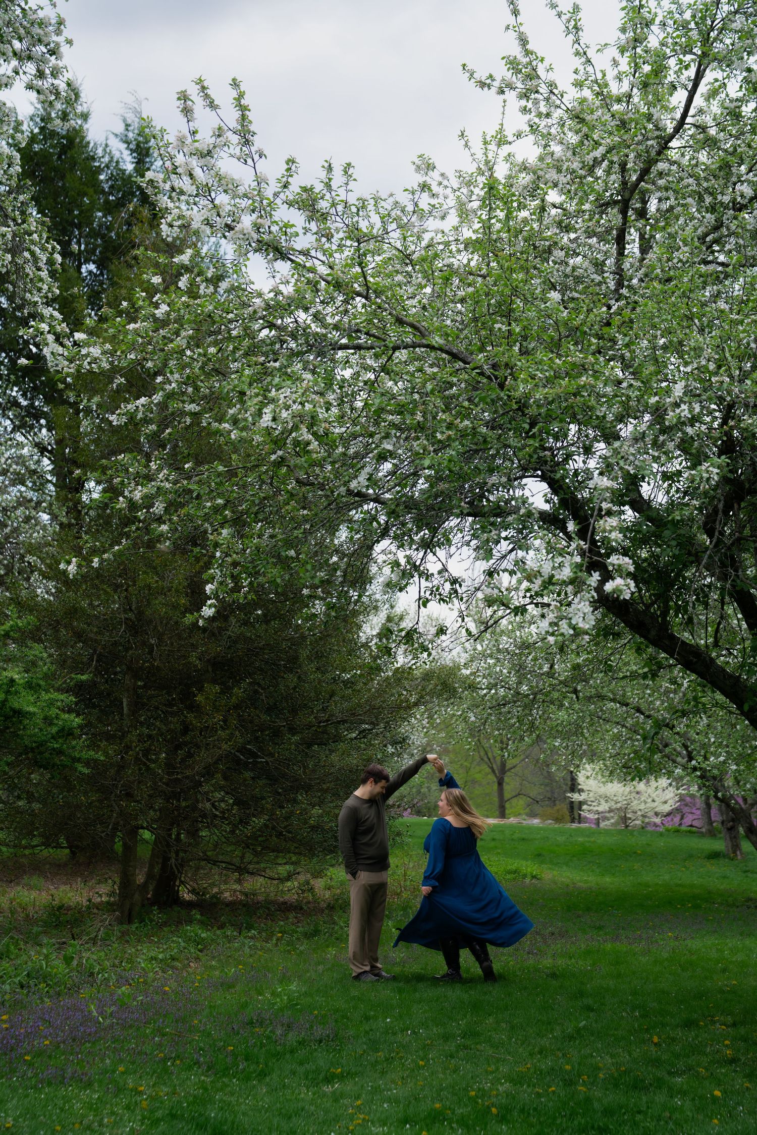 Couple dancing under blooming white flowering tree on lush green grass in a park during spring.