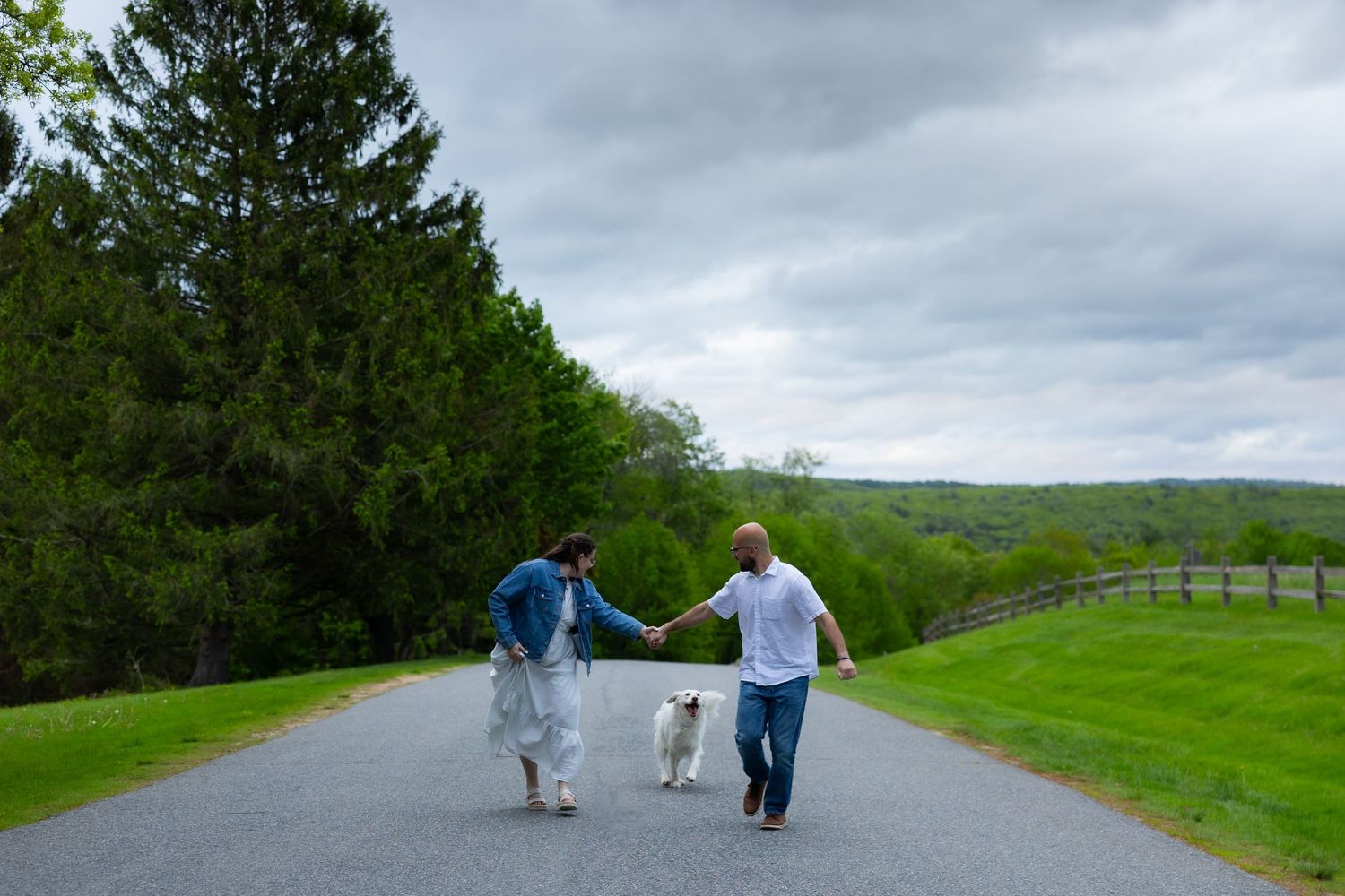 A couple walks their dogs along a scenic path through green rolling hills on a cloudy day.