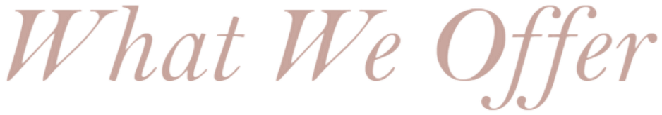 What We Offer