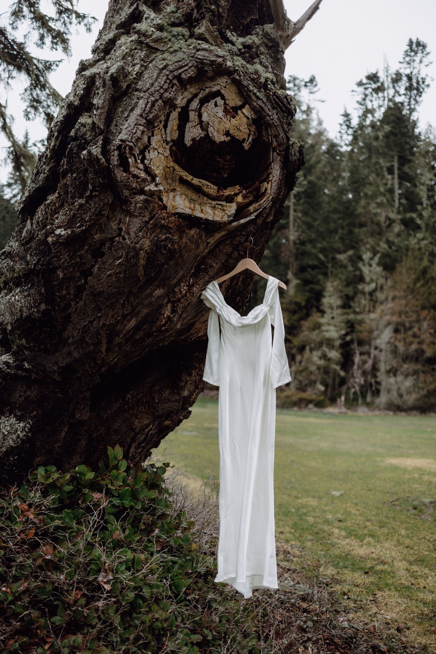 White dress suspended from an old tree trunk in a natural outdoor setting.