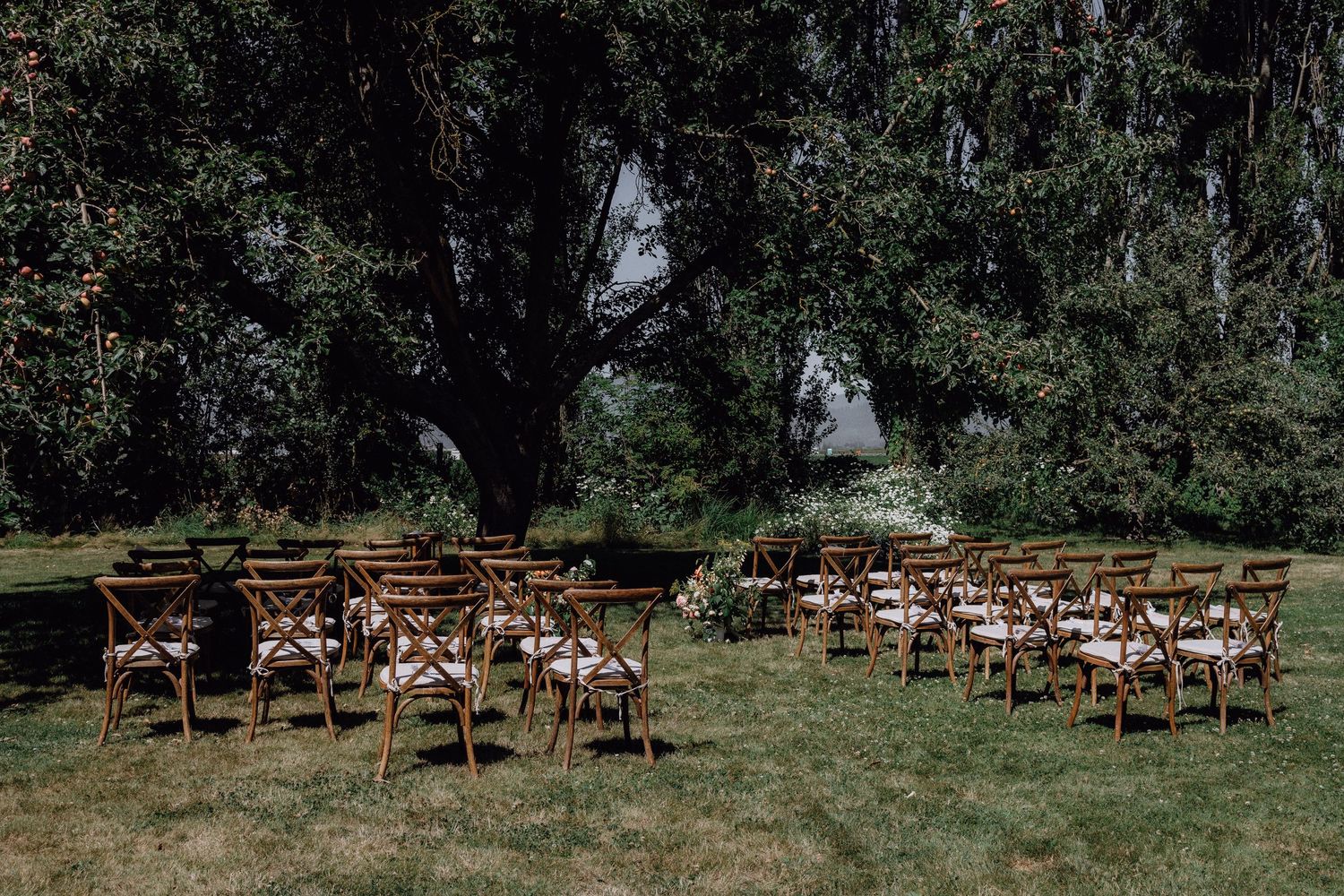 Wooden chairs arranged outdoors for wedding ceremony under trees.