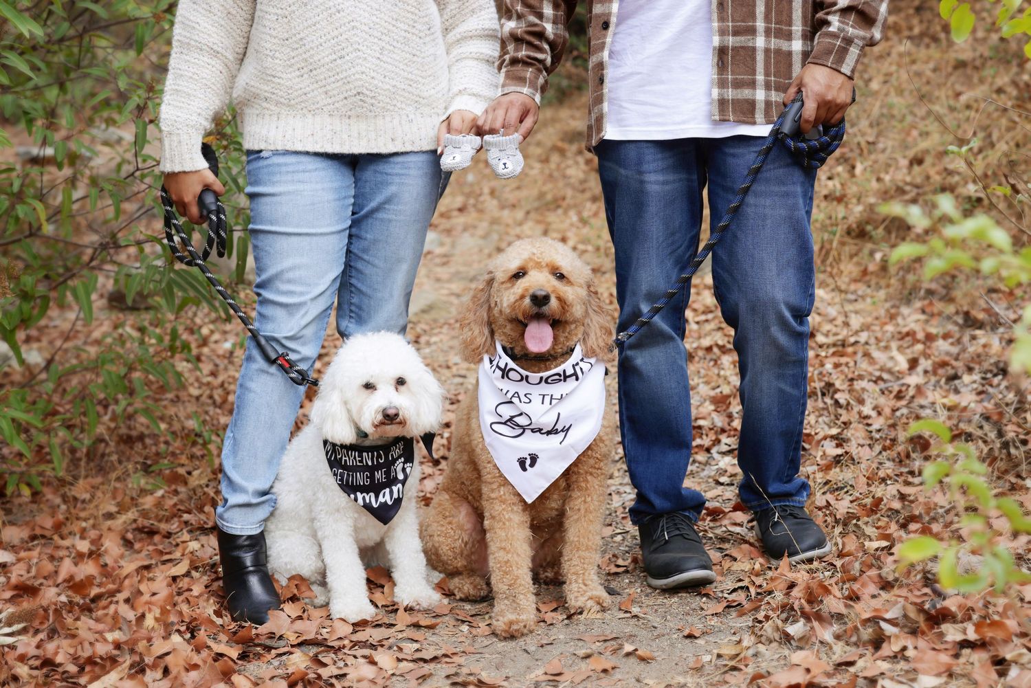 Couple with two dogs wearing bandanas in autumn forest, engagement announcement photo session.