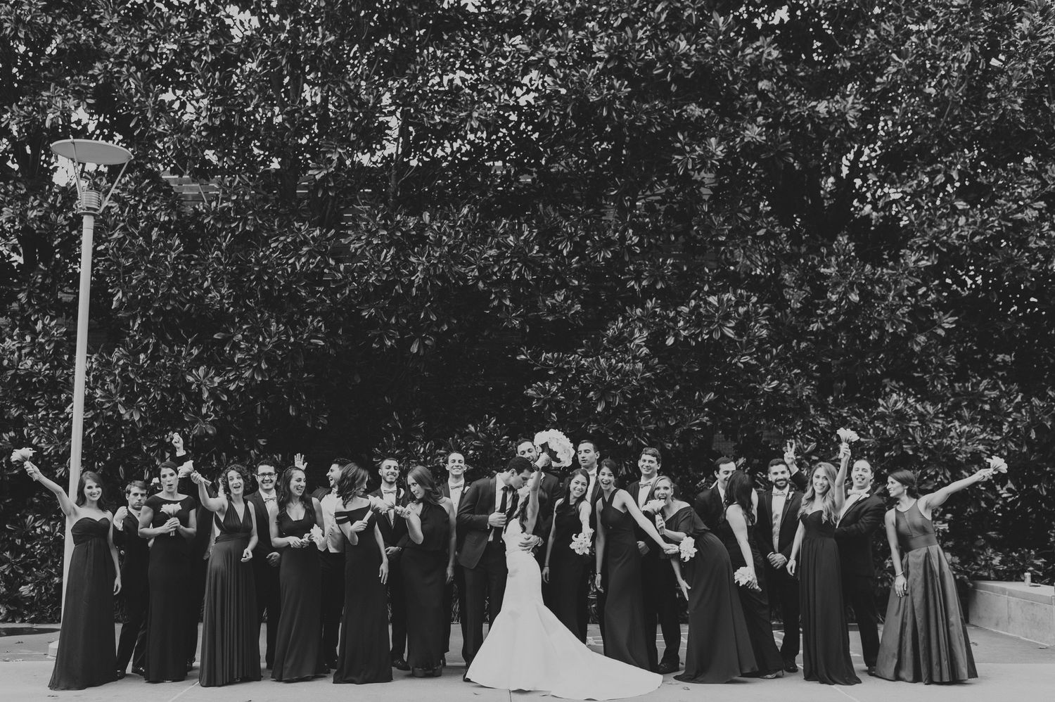 Black and white wedding party portrait with bridesmaids and groomsmen lined up under large trees.