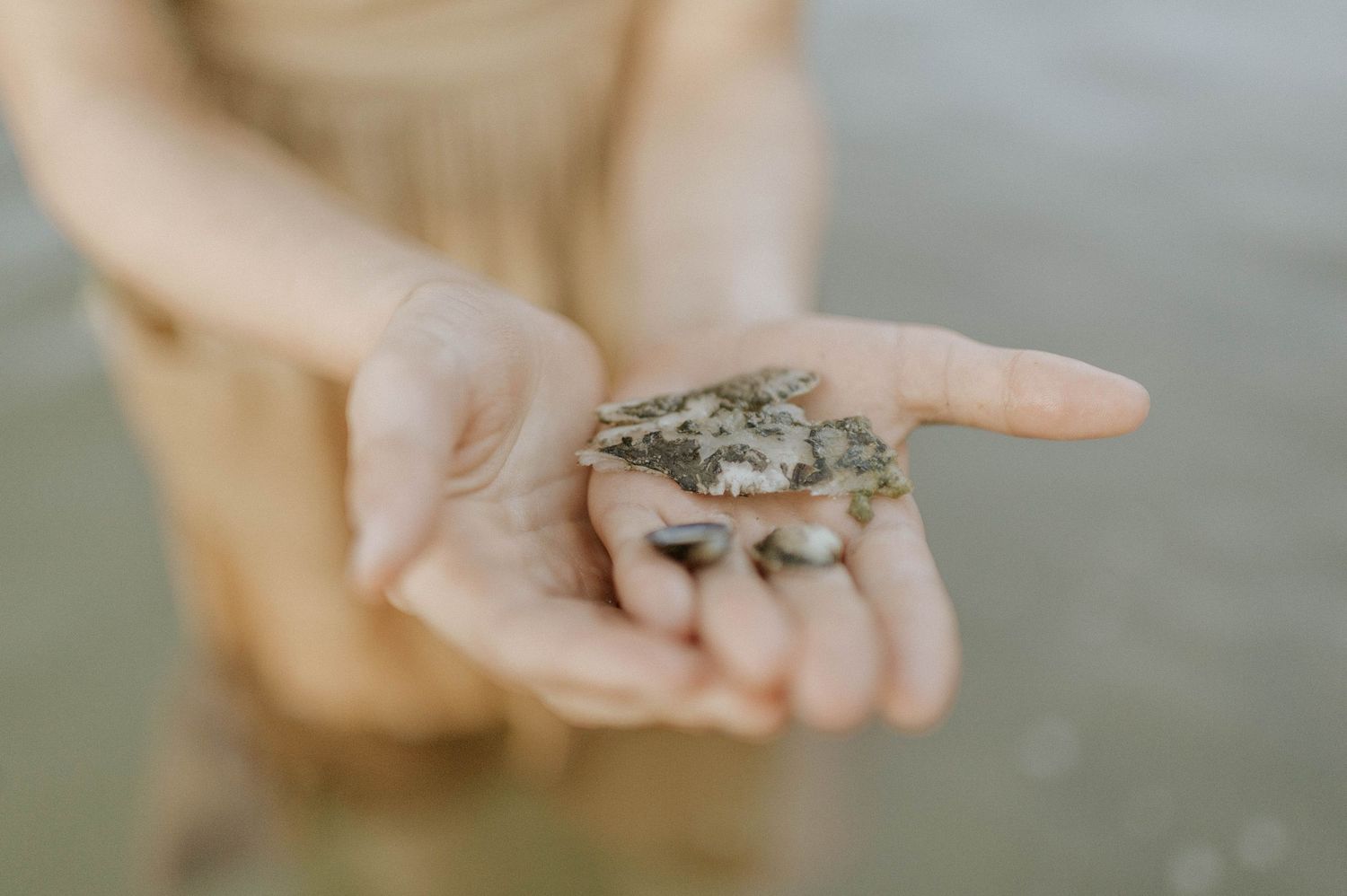 Child holding a small frog or toad in outstretched hands near a river.