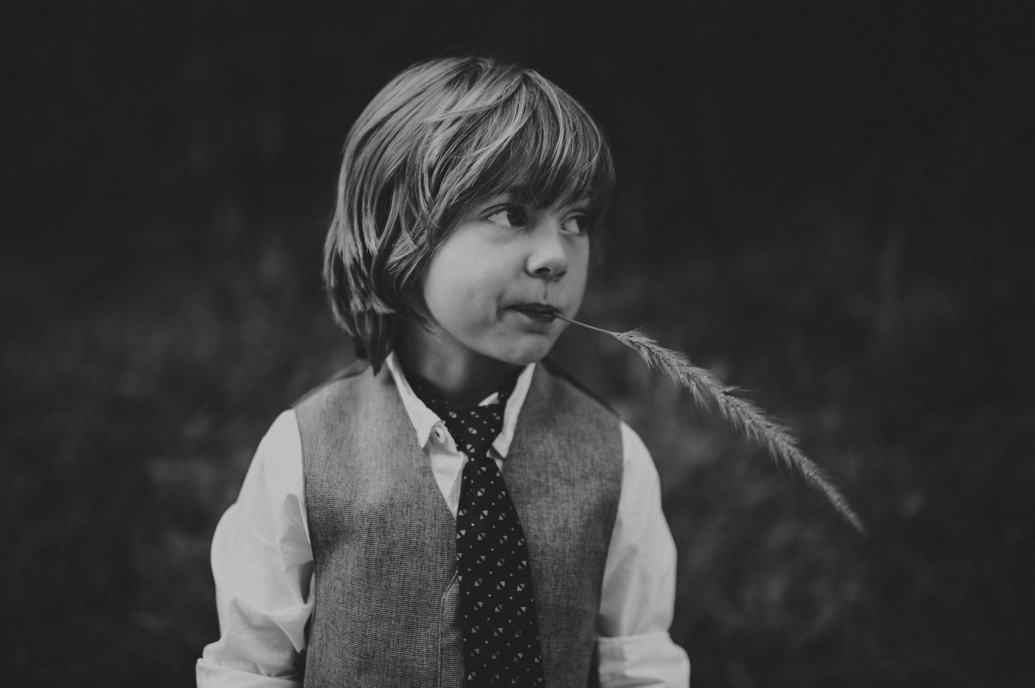Black and white portrait of a young boy in a vest and tie holding a feather grass stem outdoors.