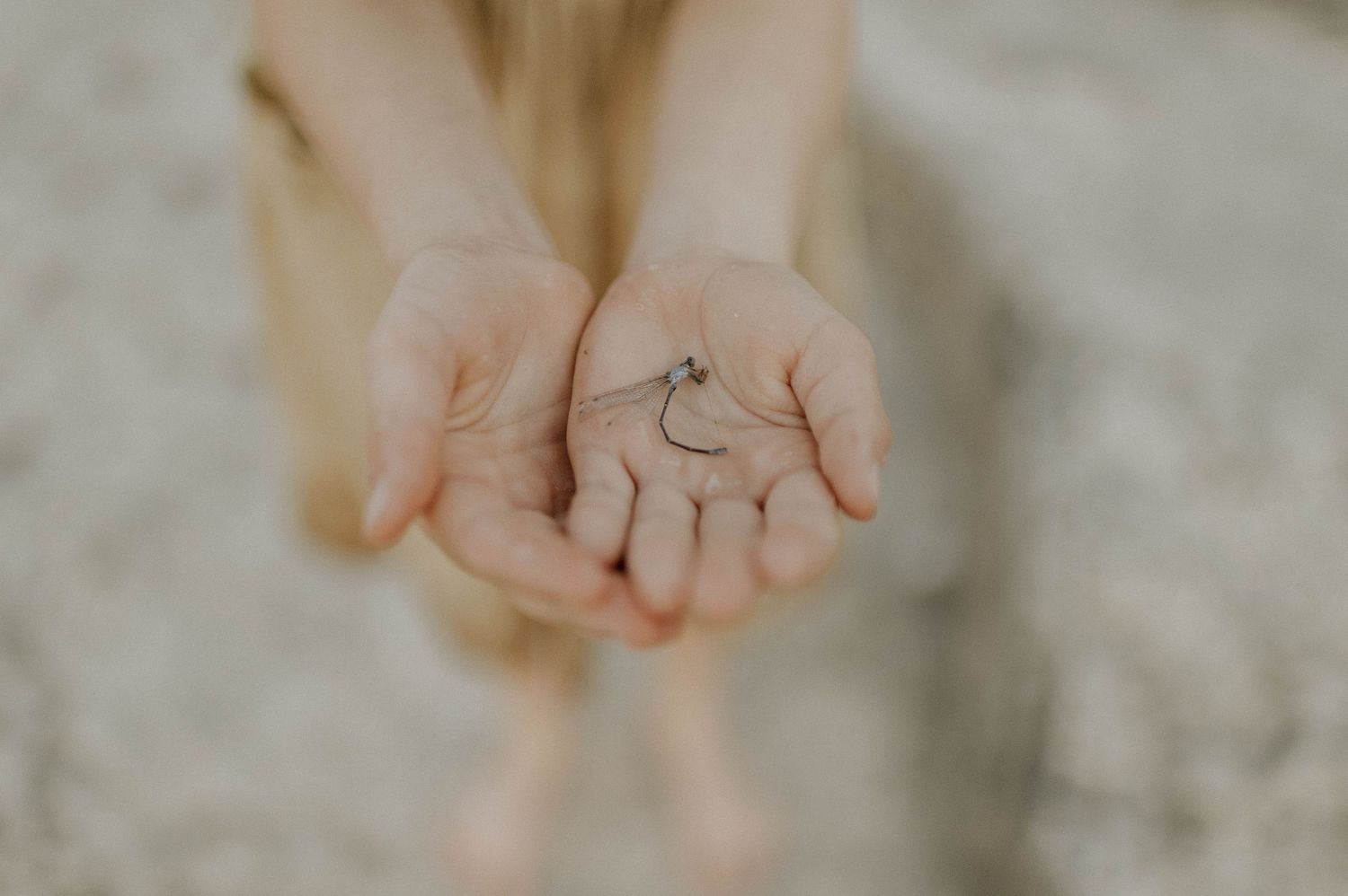 Child holds out open palms displaying a small delicate ring in a soft focus outdoor photo.
