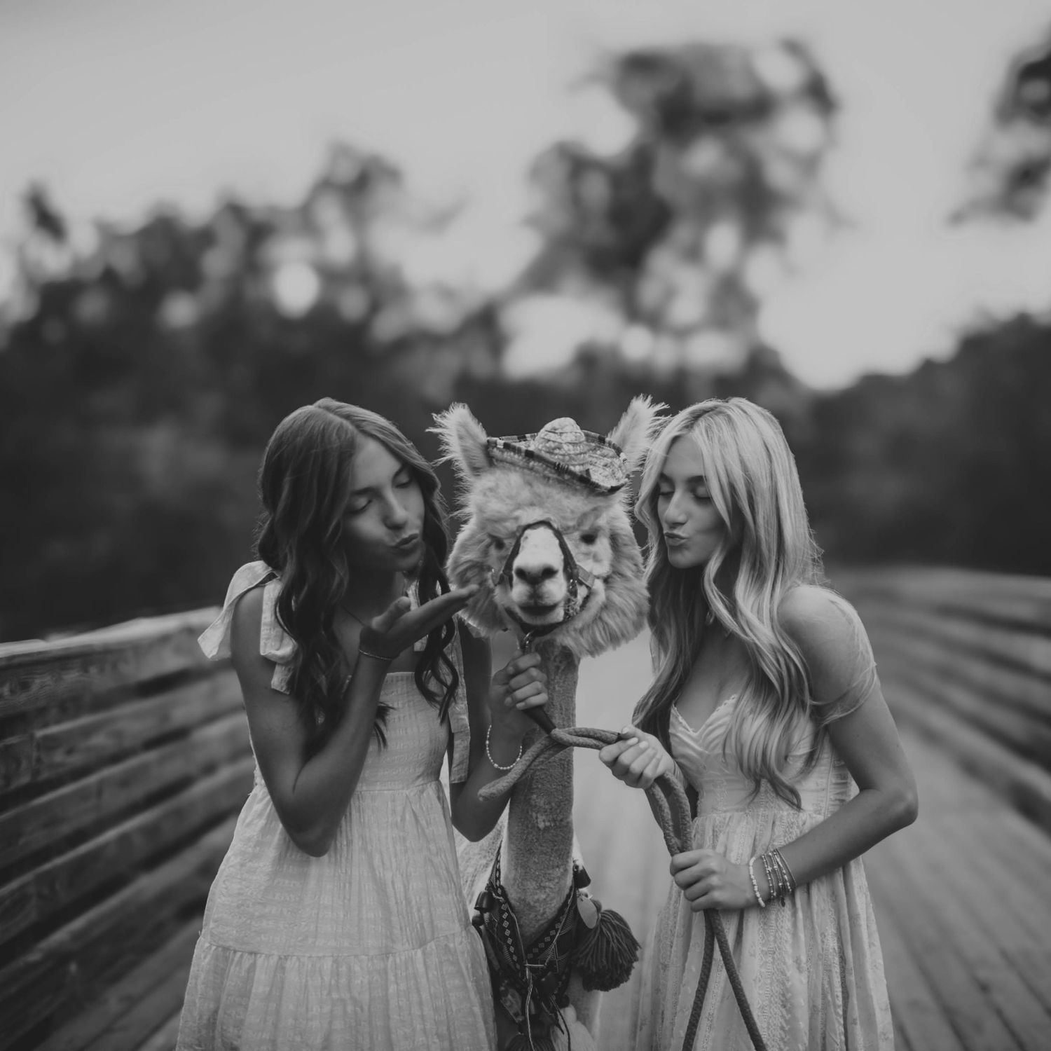 Two young women in white dresses posing with an alpaca on a wooden bridge in black and white.