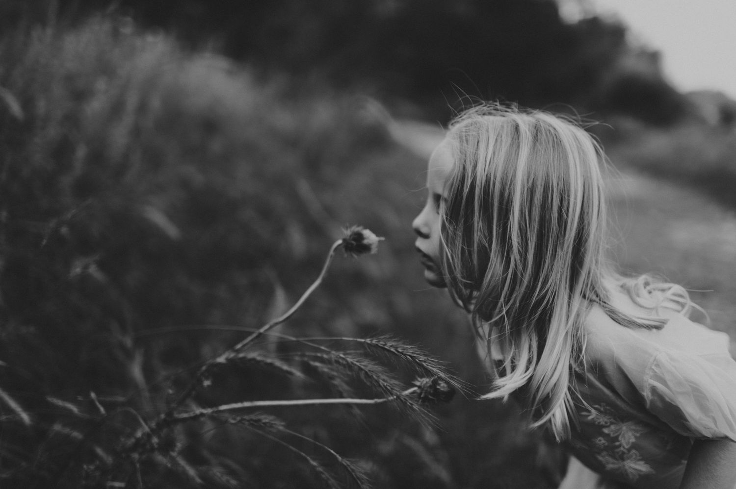 Black and white photo of a young blonde girl smelling a wildflower in a field.