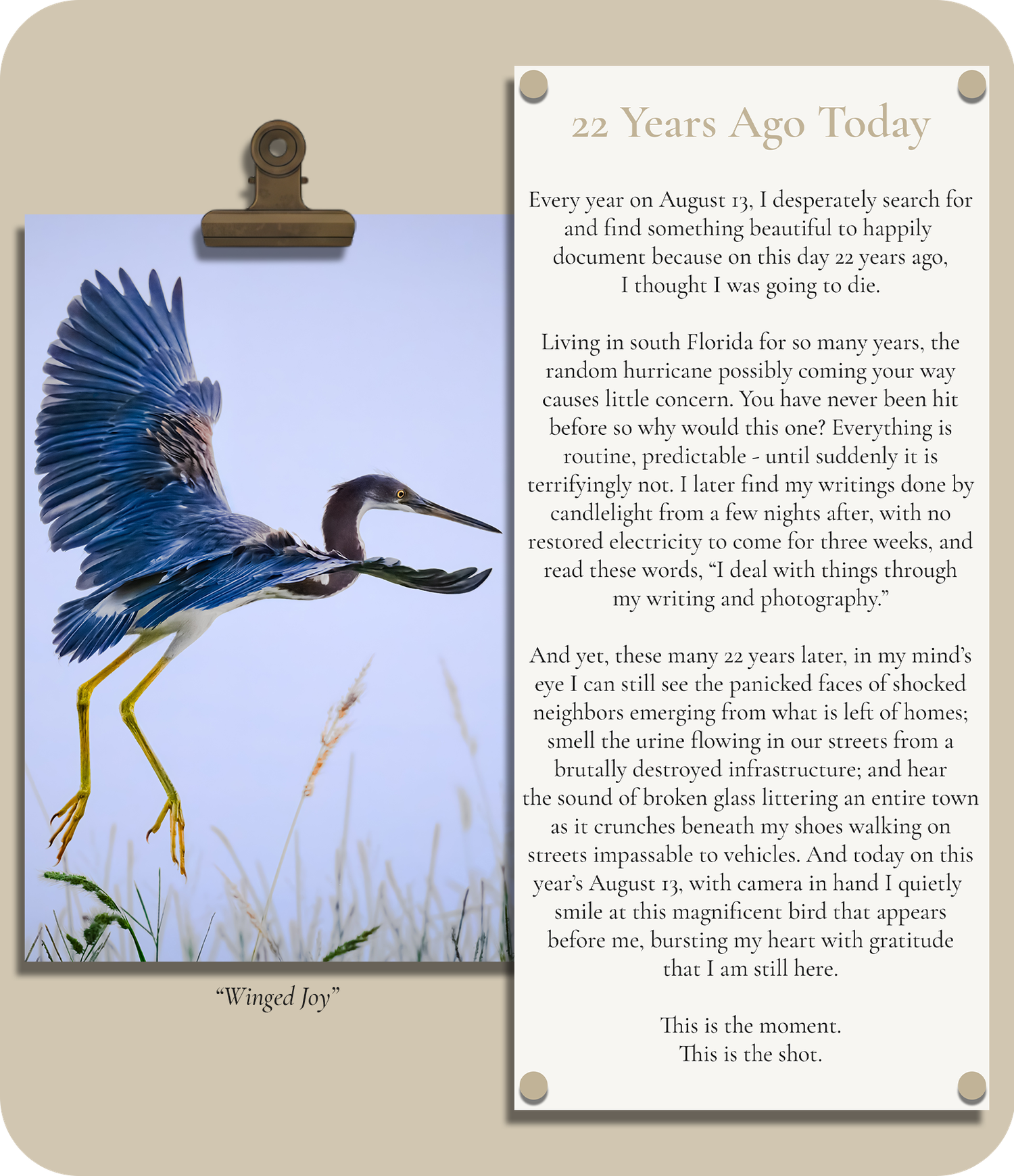 Field Note about finding and photographing something special every August 13, after surviving a dangerous hurricane 22 years ago today.