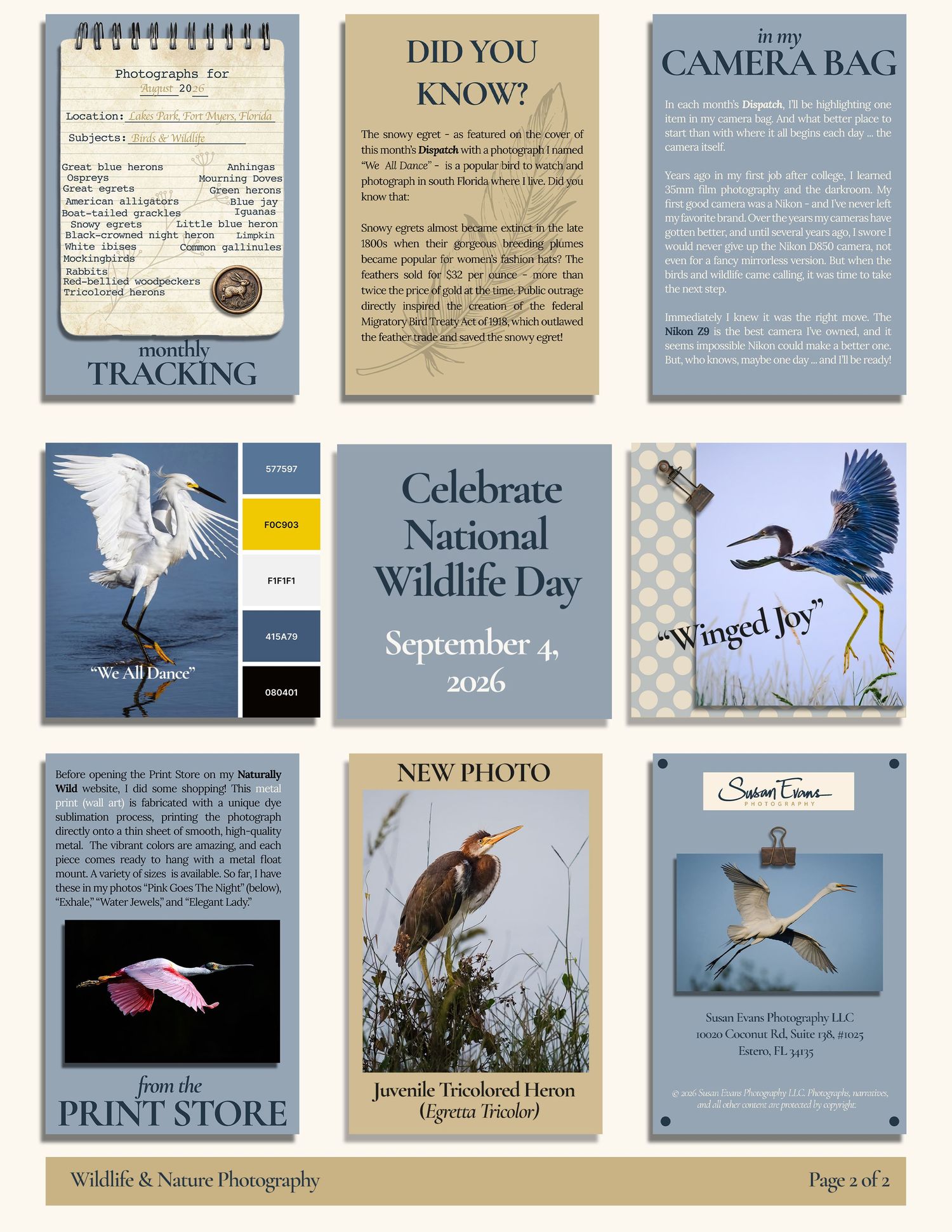 Page 2 of the August 2026 Monthly Dispatch with nine grid blocks of photos, stories, and artistic graphic design.