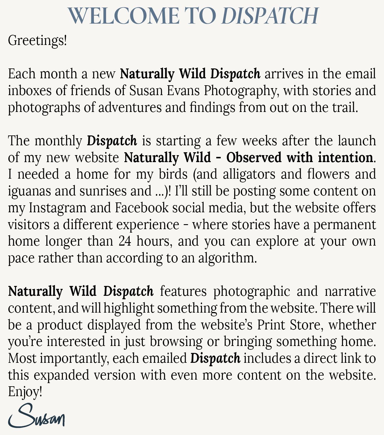 Welcome letter to the inaugural issue of the August 2026 Monthly Dispatch for the Naturally Wild website by Susan Evans Photography.