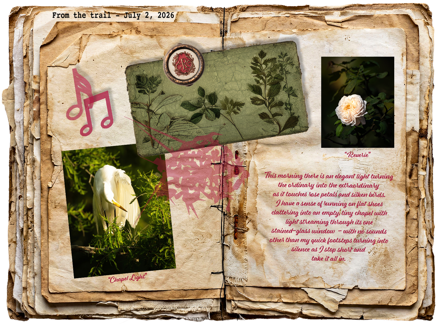 Along the Trail field journal featuring a great egret, blooming rose, botanical artwork, and reflective writing.