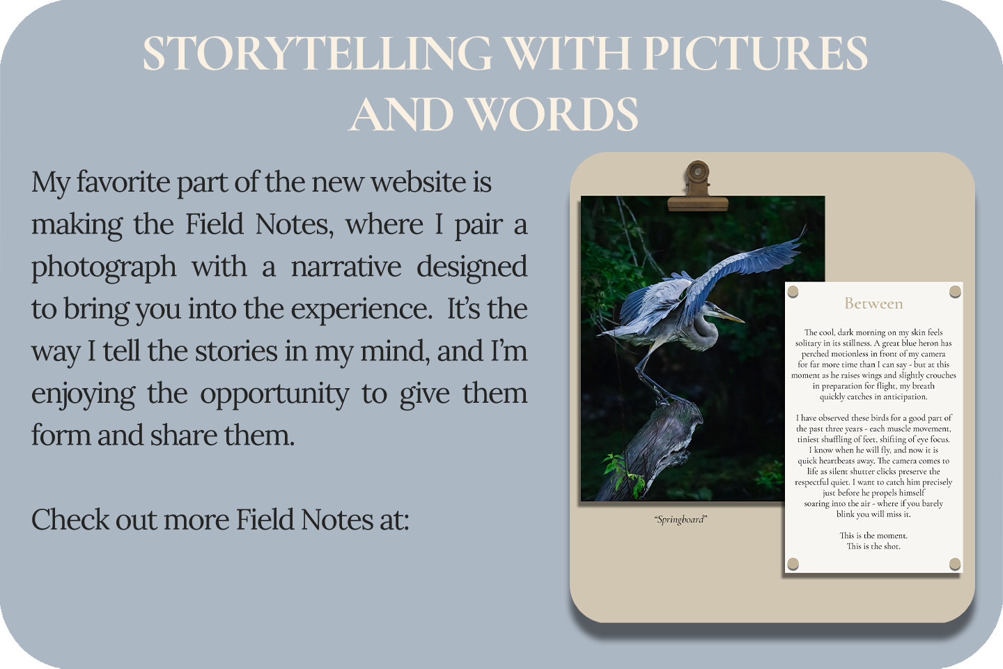 The art form of storytelling that combines wildlife and nature photography with narrative prose to bring readers into the experience.