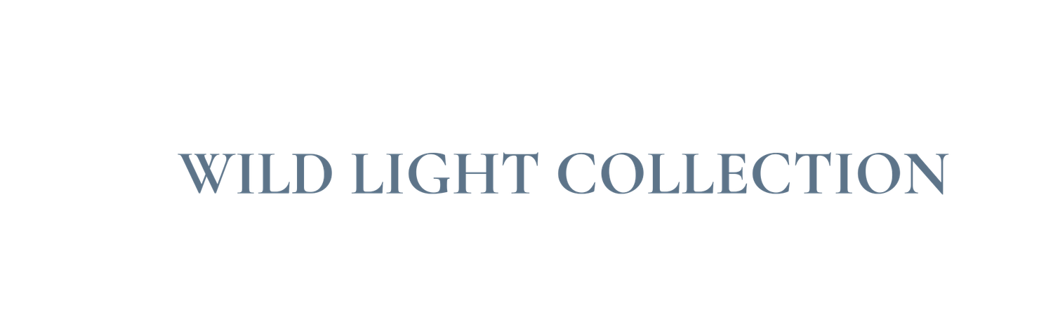 Wild Light Collection heading