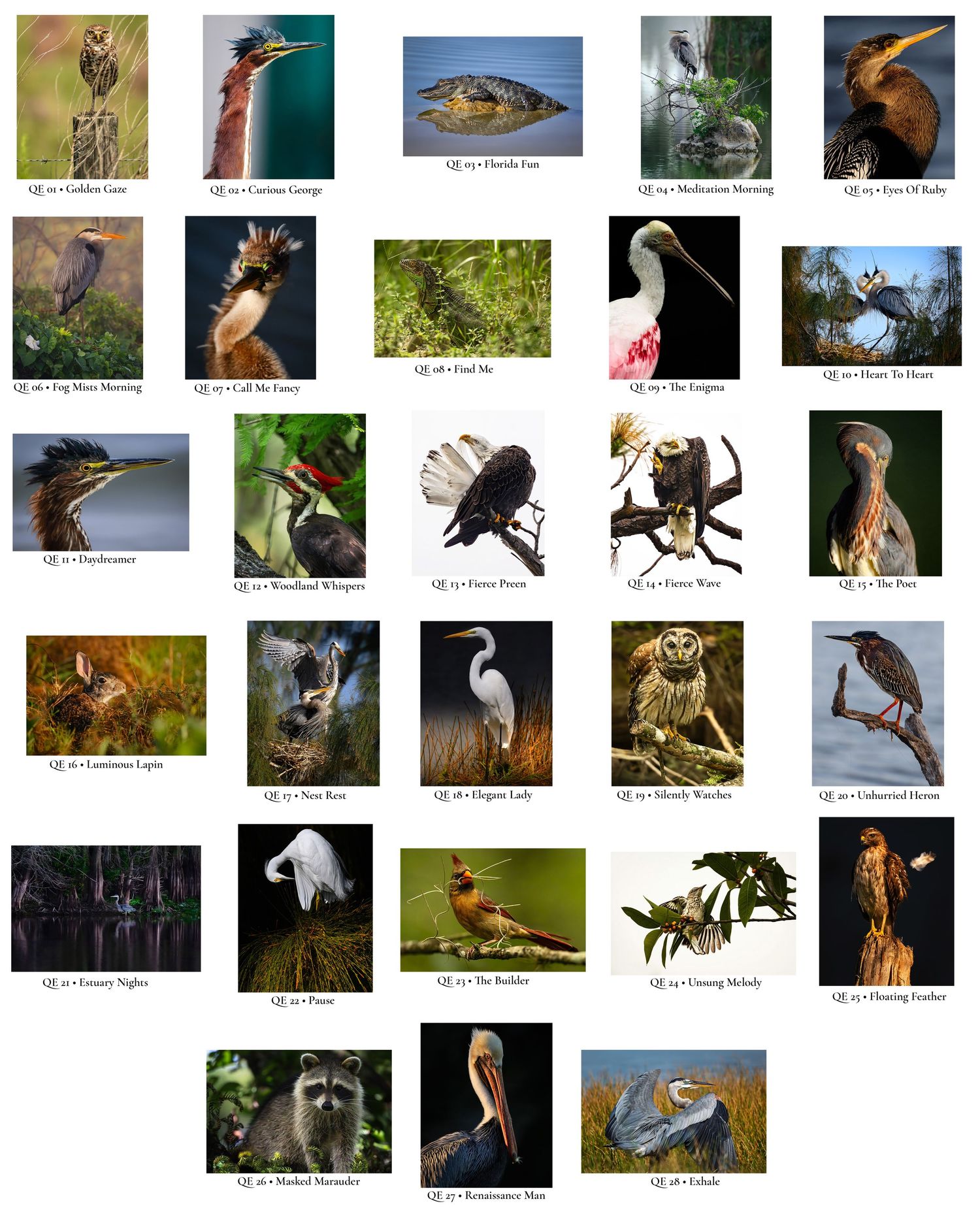 Gallery Guide showing thumbnail photographs, titles, and reference numbers for the Quiet Encounters Collection.