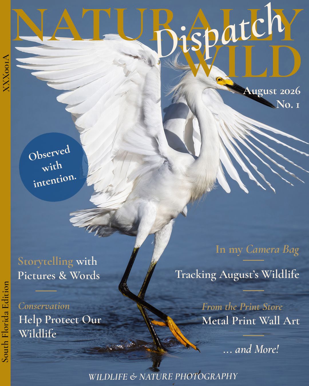 Cover of the August 2026 Monthly Dispatch showcasing a snowy egret dancing in the surf.